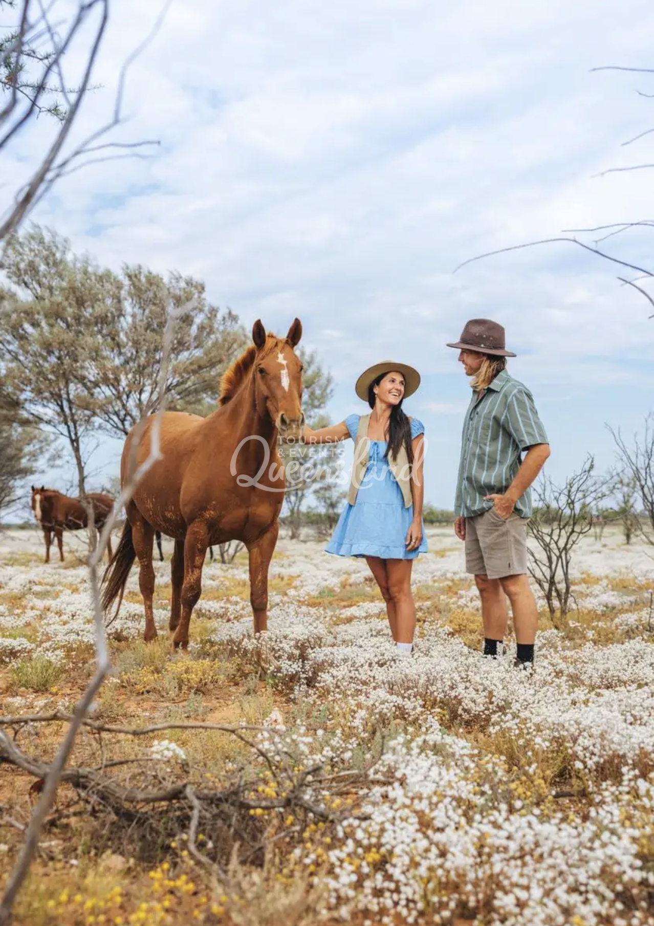 Screenshot 2026-02-20 at 2.19.58 pm.png