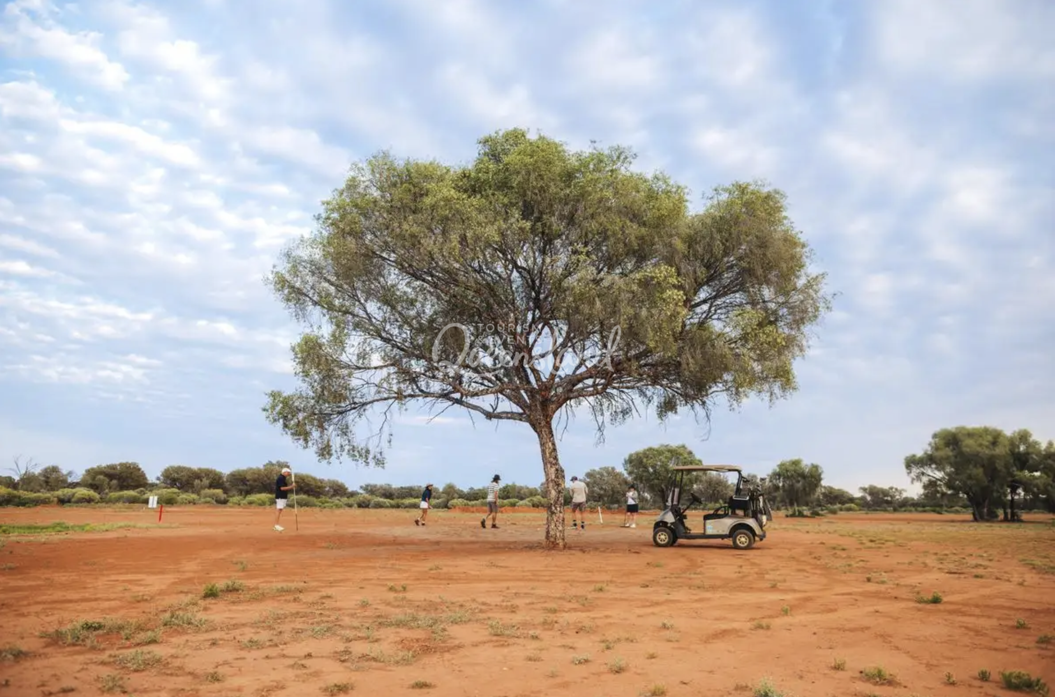 Screenshot 2026-02-20 at 2.17.18 pm.png