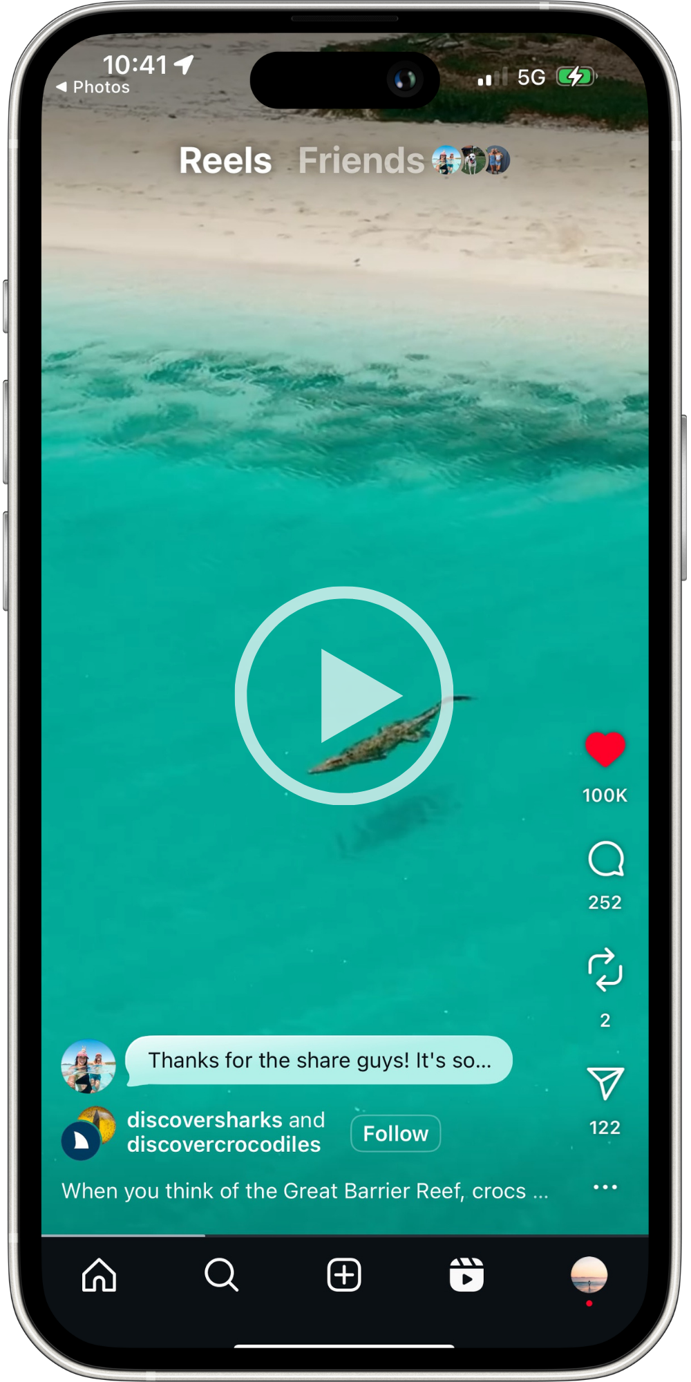 Discover Sharks + Discover Crocodiles