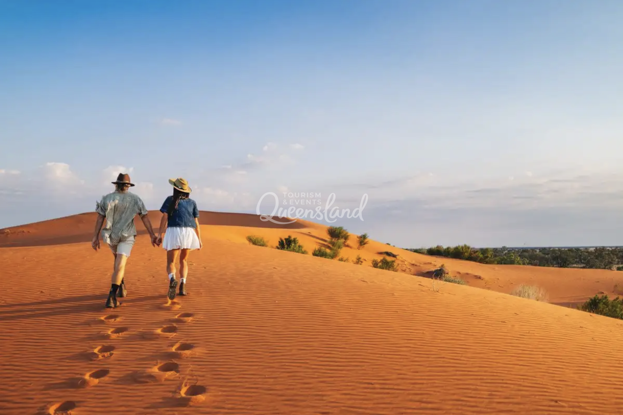 Screenshot 2026-02-20 at 2.26.36 pm.png