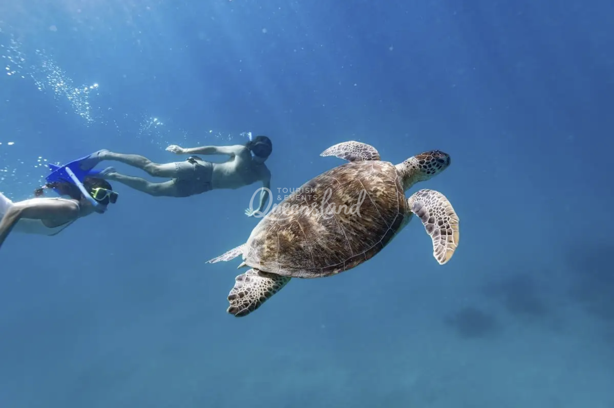 Screenshot 2026-02-20 at 2.17.01 pm.png