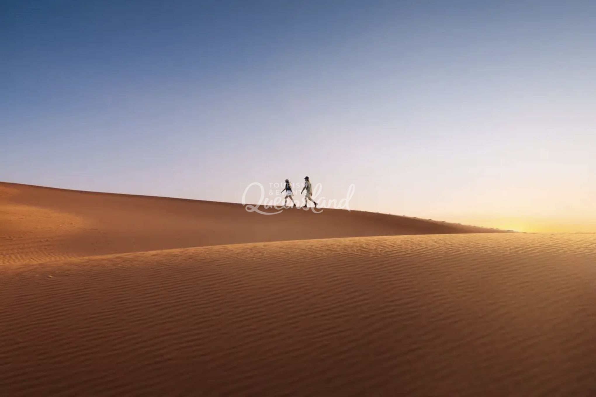 Screenshot 2026-02-20 at 2.01.43 pm.png