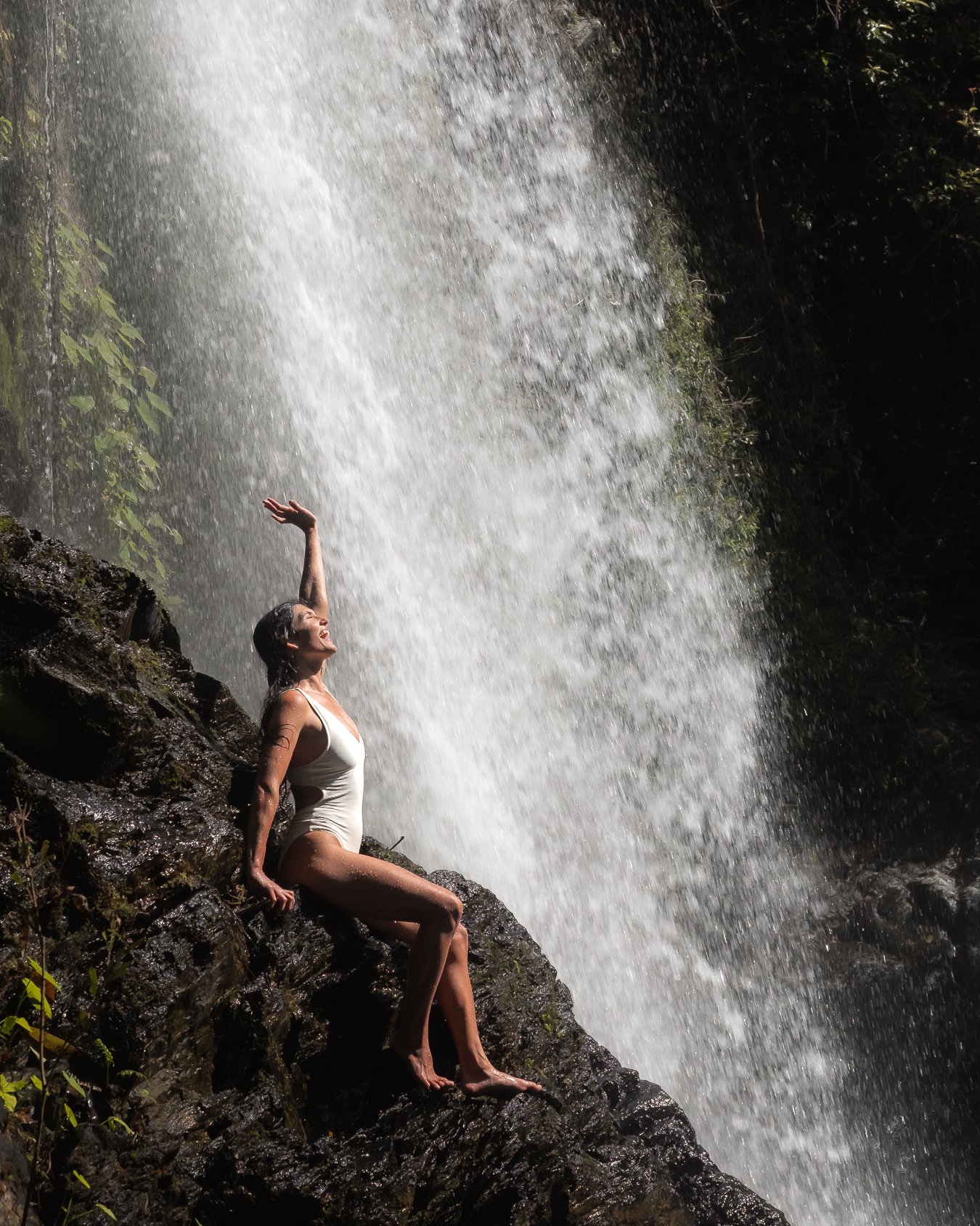 One of the many wonderful waterfalls in Tropical North Queensland.