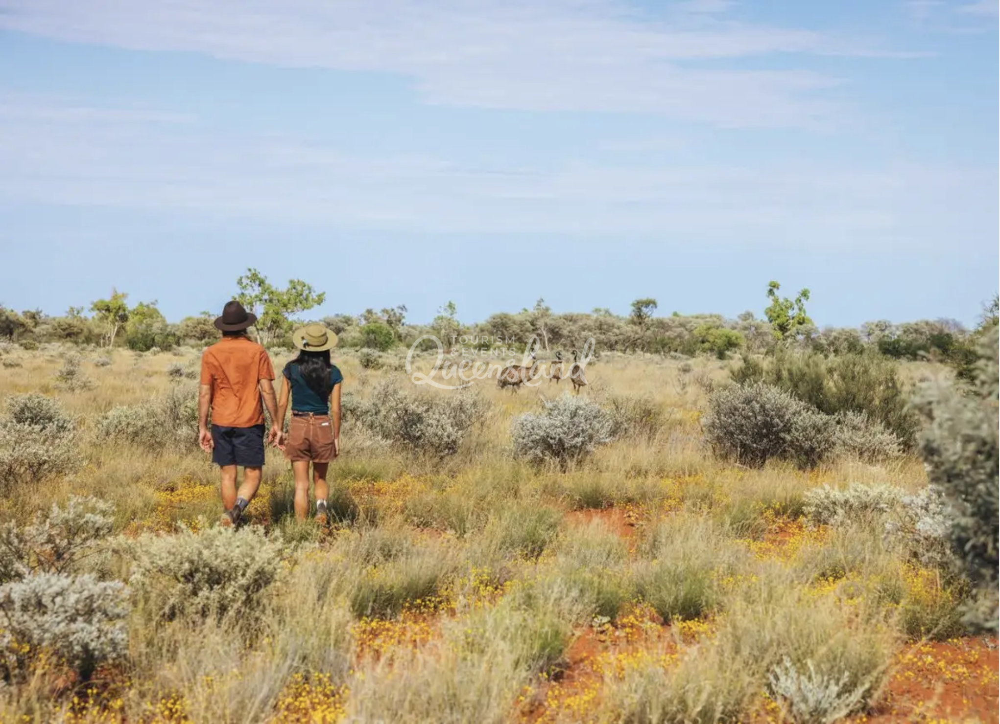 Screenshot 2026-02-20 at 1.59.12 pm.png