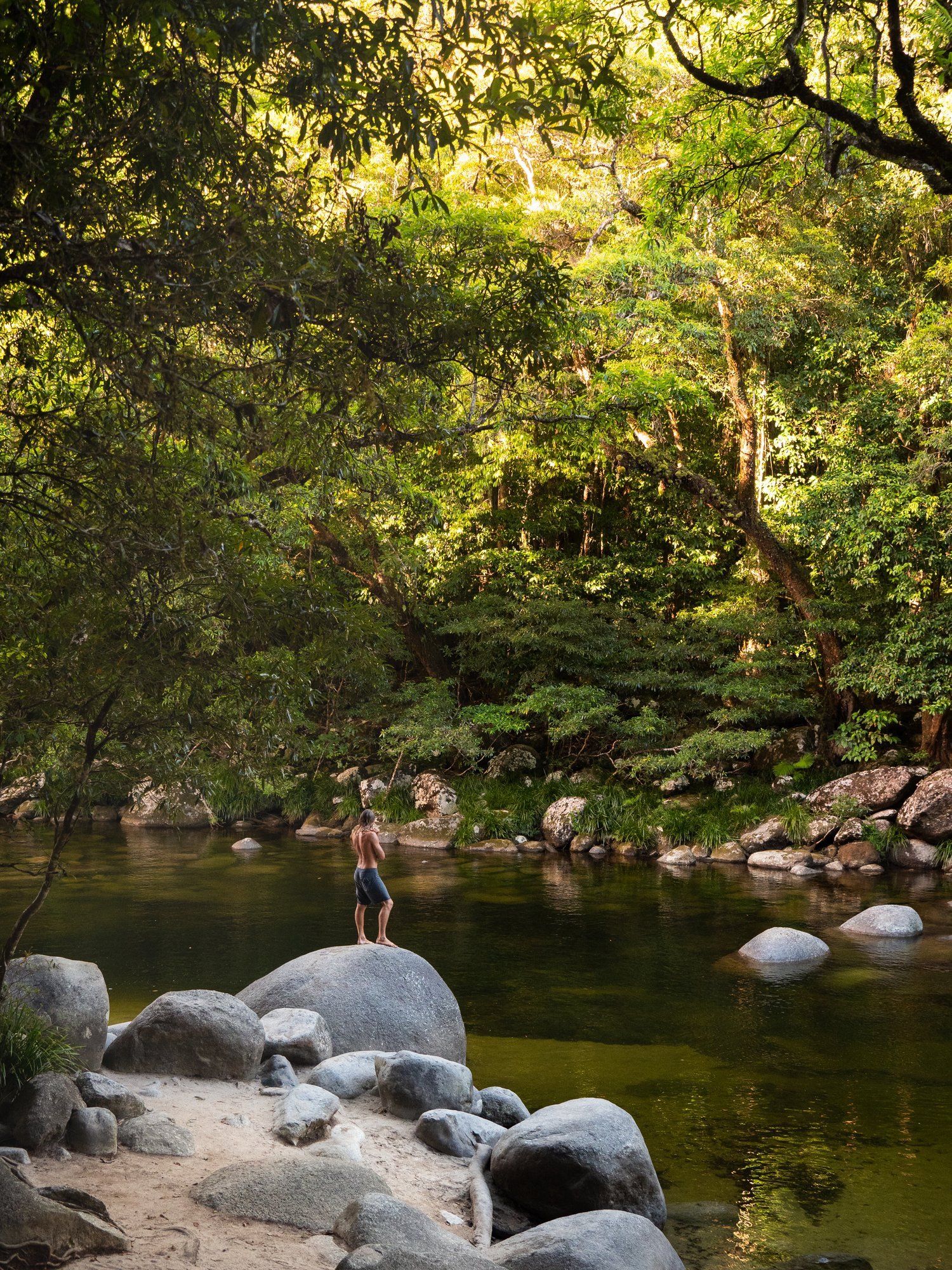 Beautiful afternoon in Kuku Yalanji country at Mossman Gorge. Here you can explore the pristine waters of the gorge and the lush tropical rainforest.