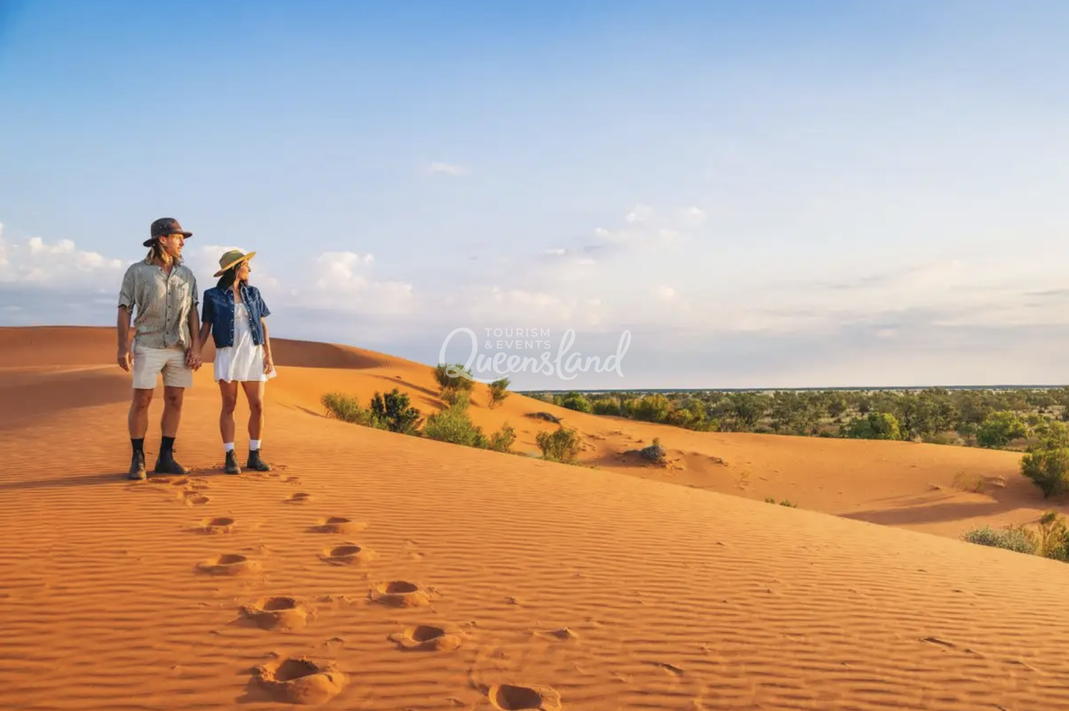 Screenshot 2026-02-20 at 2.26.09 pm.png