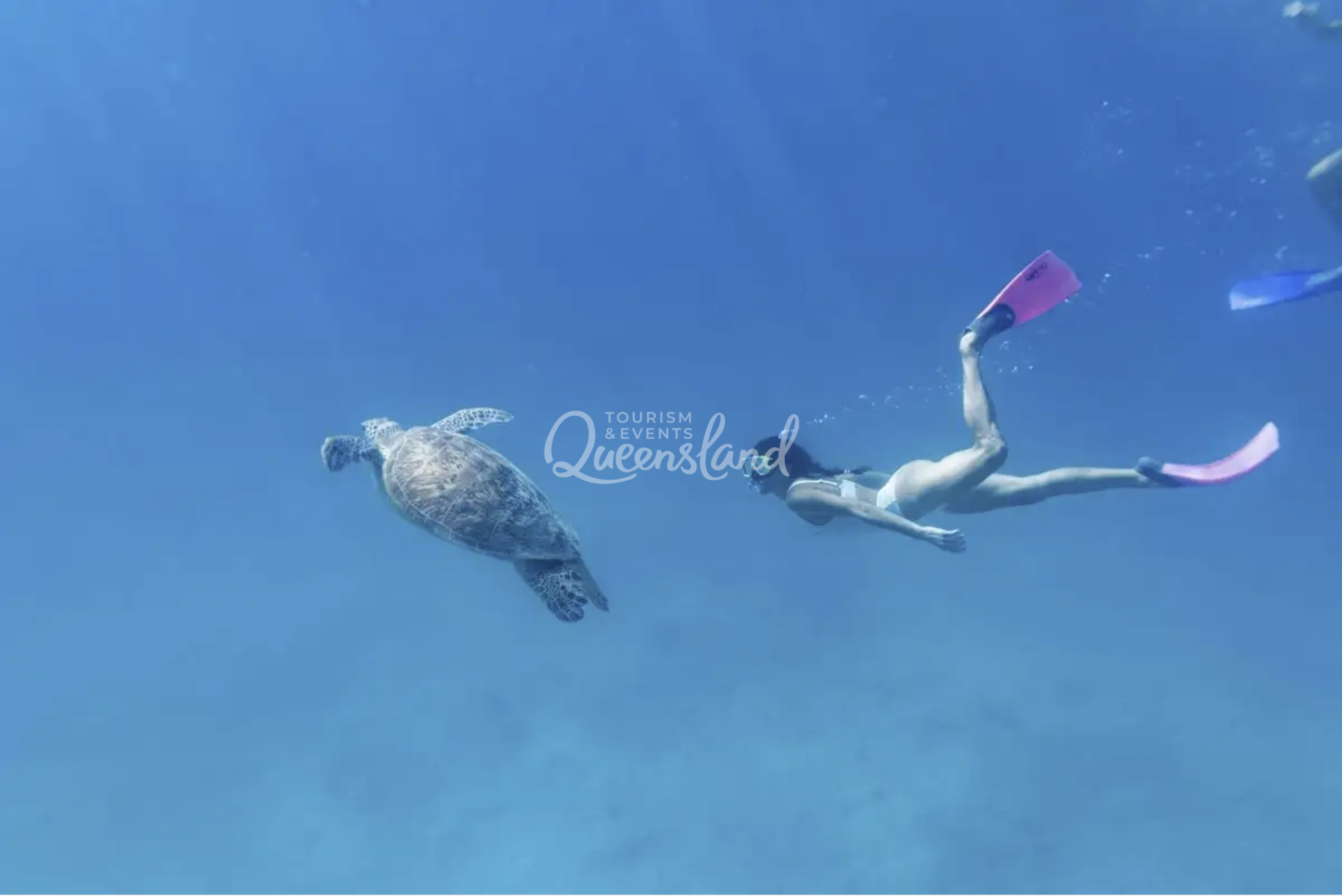 Screenshot 2026-02-20 at 2.17.39 pm.png