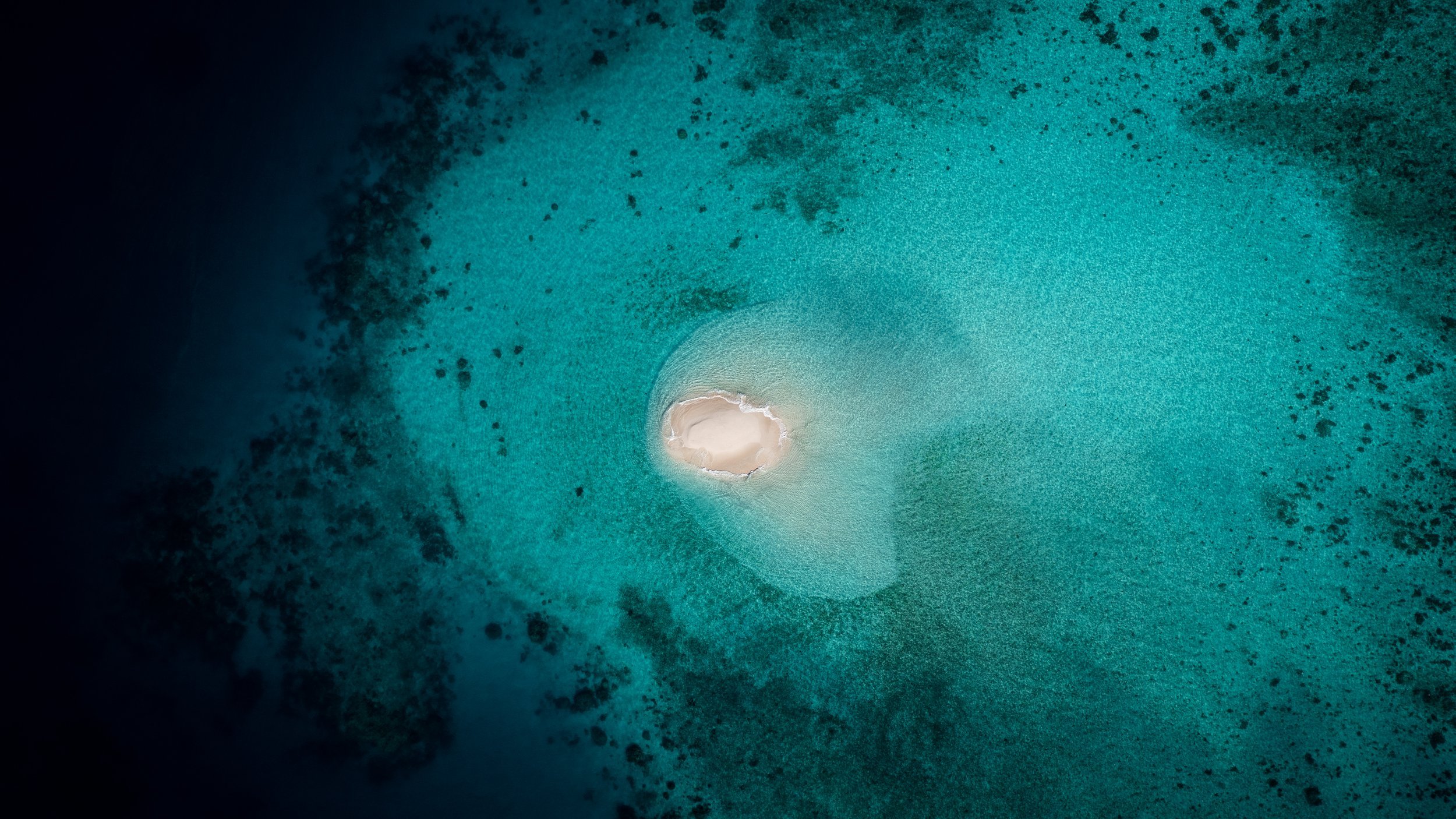 Located off Mission Beach, Beaver Cay is a beautiful cay of fine sand surrounded by coral reefs.
The coral gardens just off the cay range in depths from 12 metres to 22 metres, and snorkelers and divers can see an array of fish species, turtles, sti