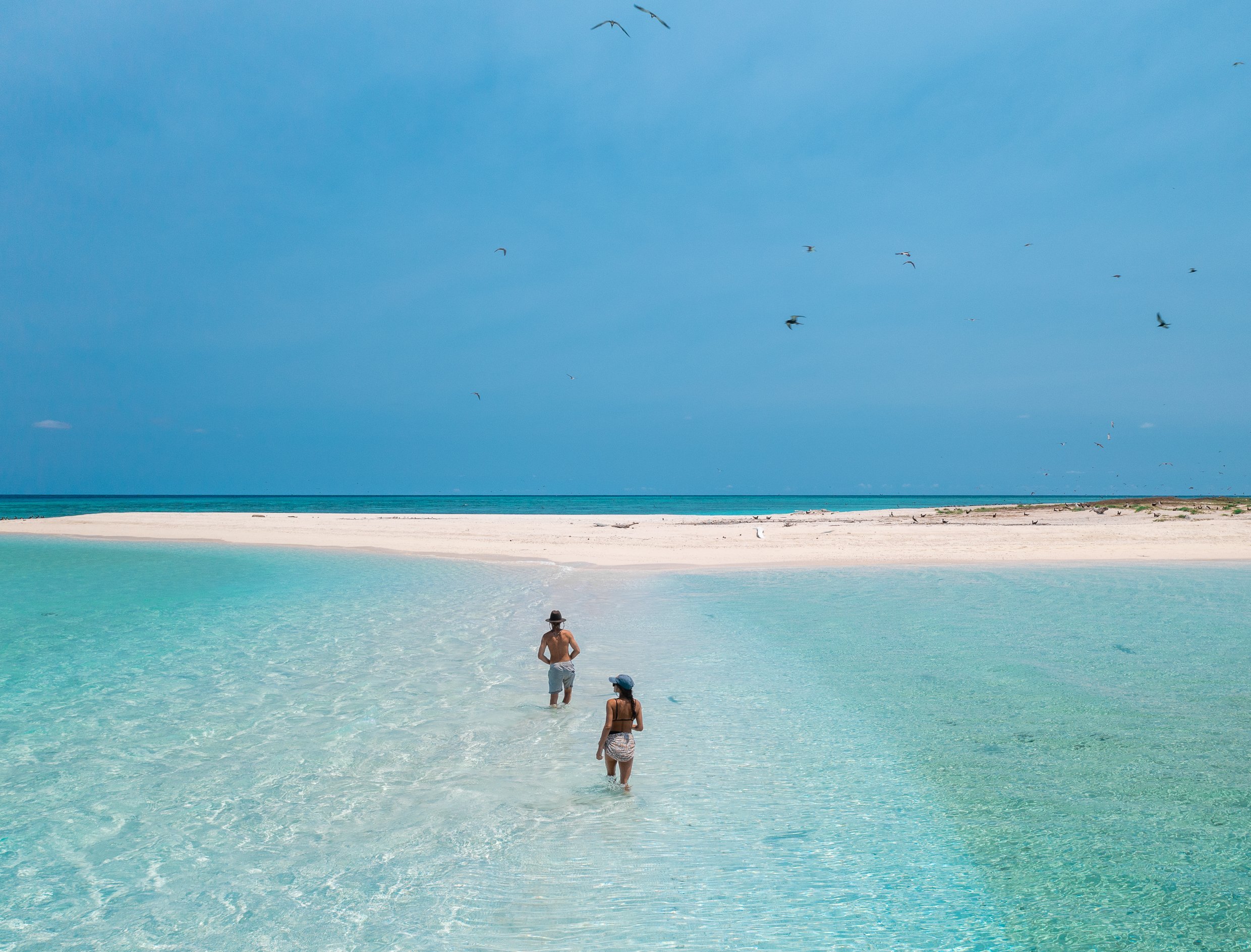 Tydeman Sand Cay, North Queensland.
Exploring remote offshore reefs and sand cays off northern Australia.