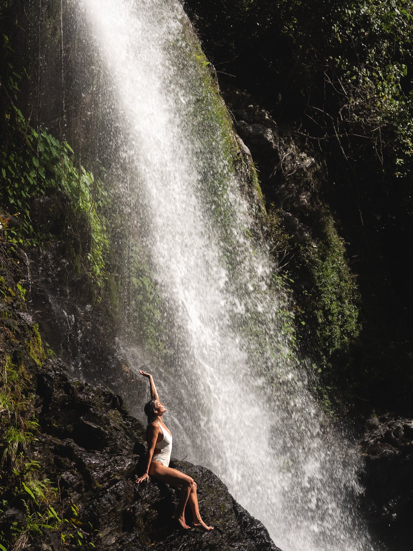 One of the many wonderful waterfalls in Tropical North Queensland.