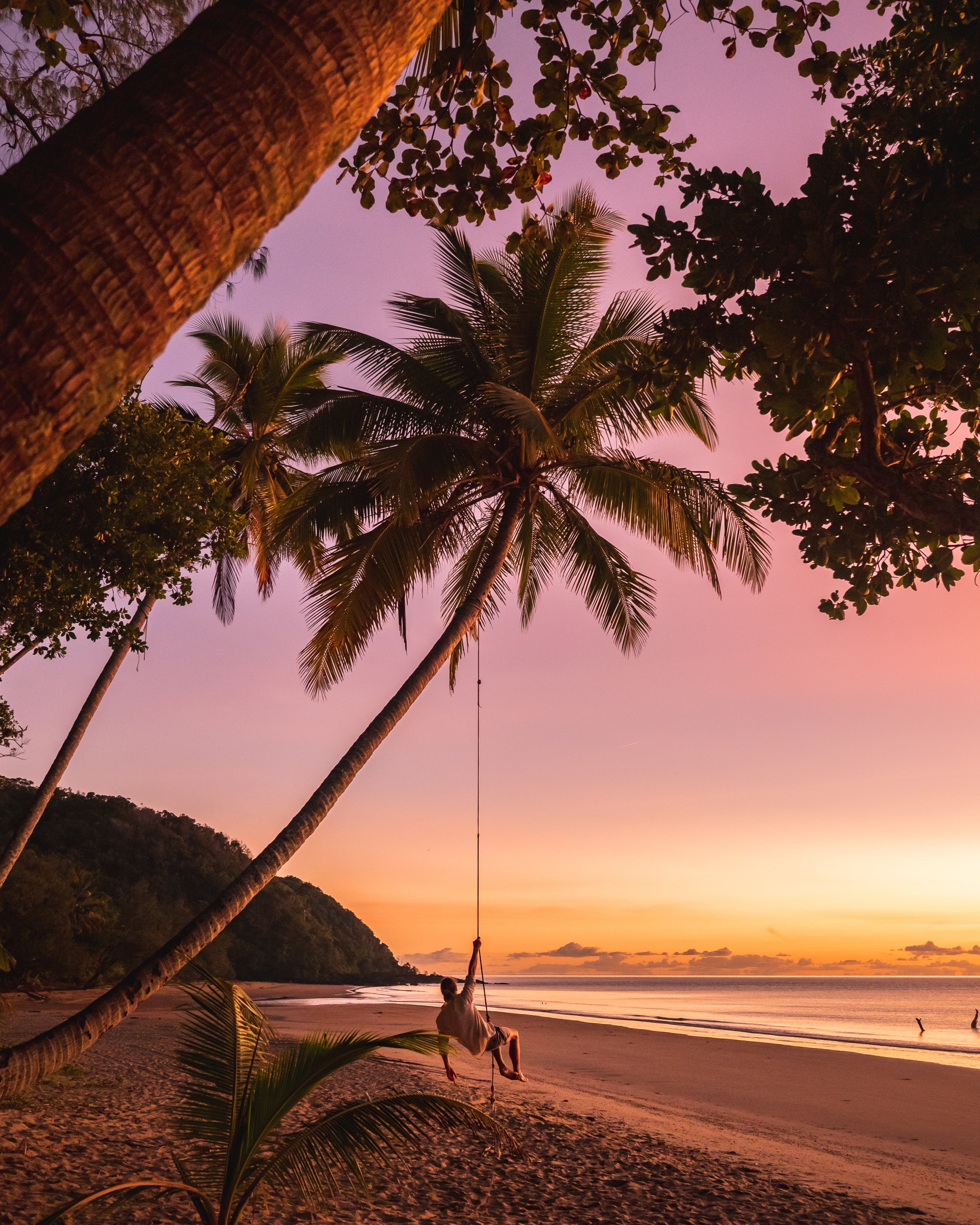Beautiful Cow Bay, located in the Daintree in Far North Queensland.
And here we are, right between the world's oldest continually surviving tropical rainforest and the world's largest coral reef system.
The magic of the Daintree!
