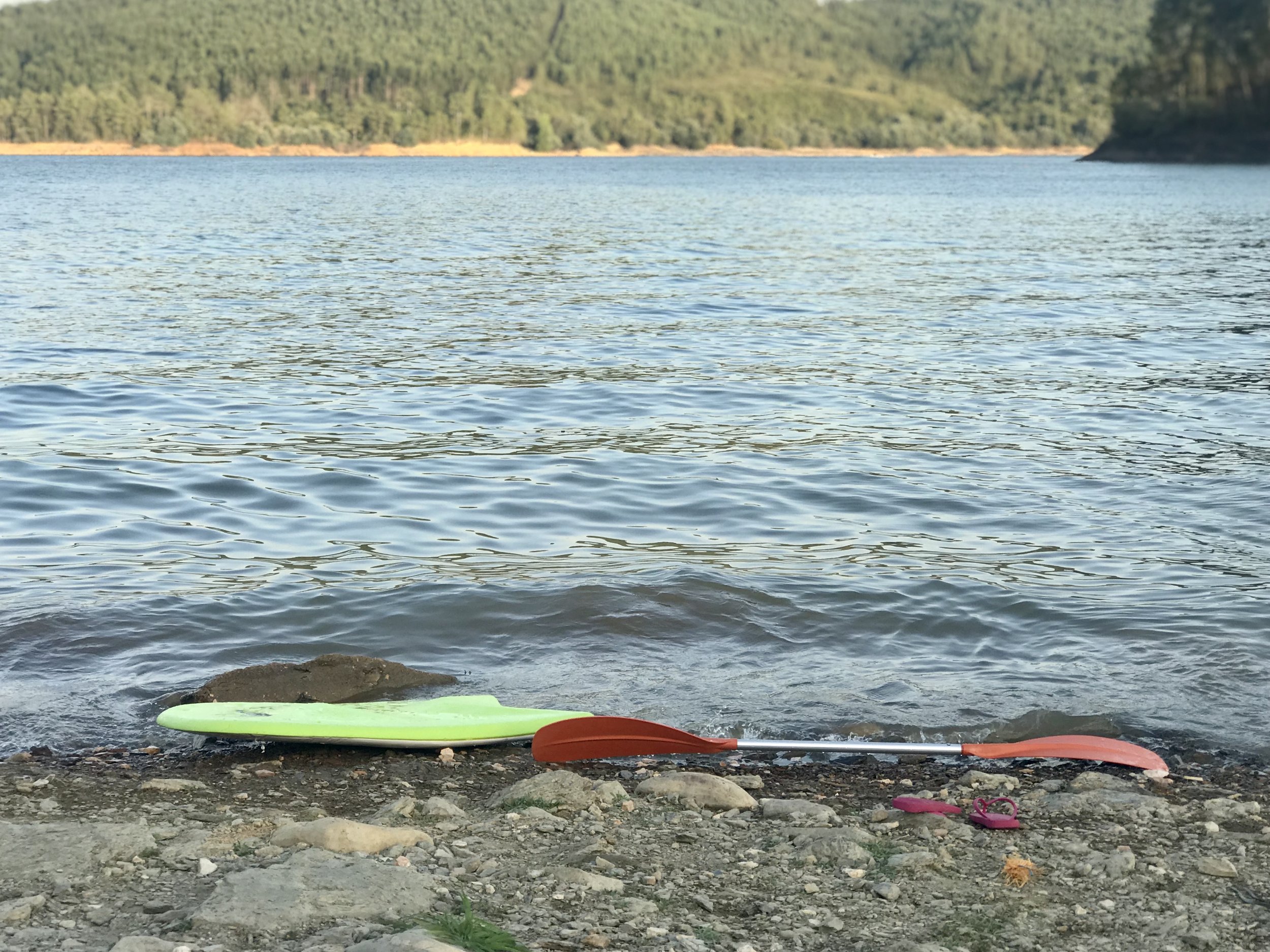 FINDING YOUR IKIGAI