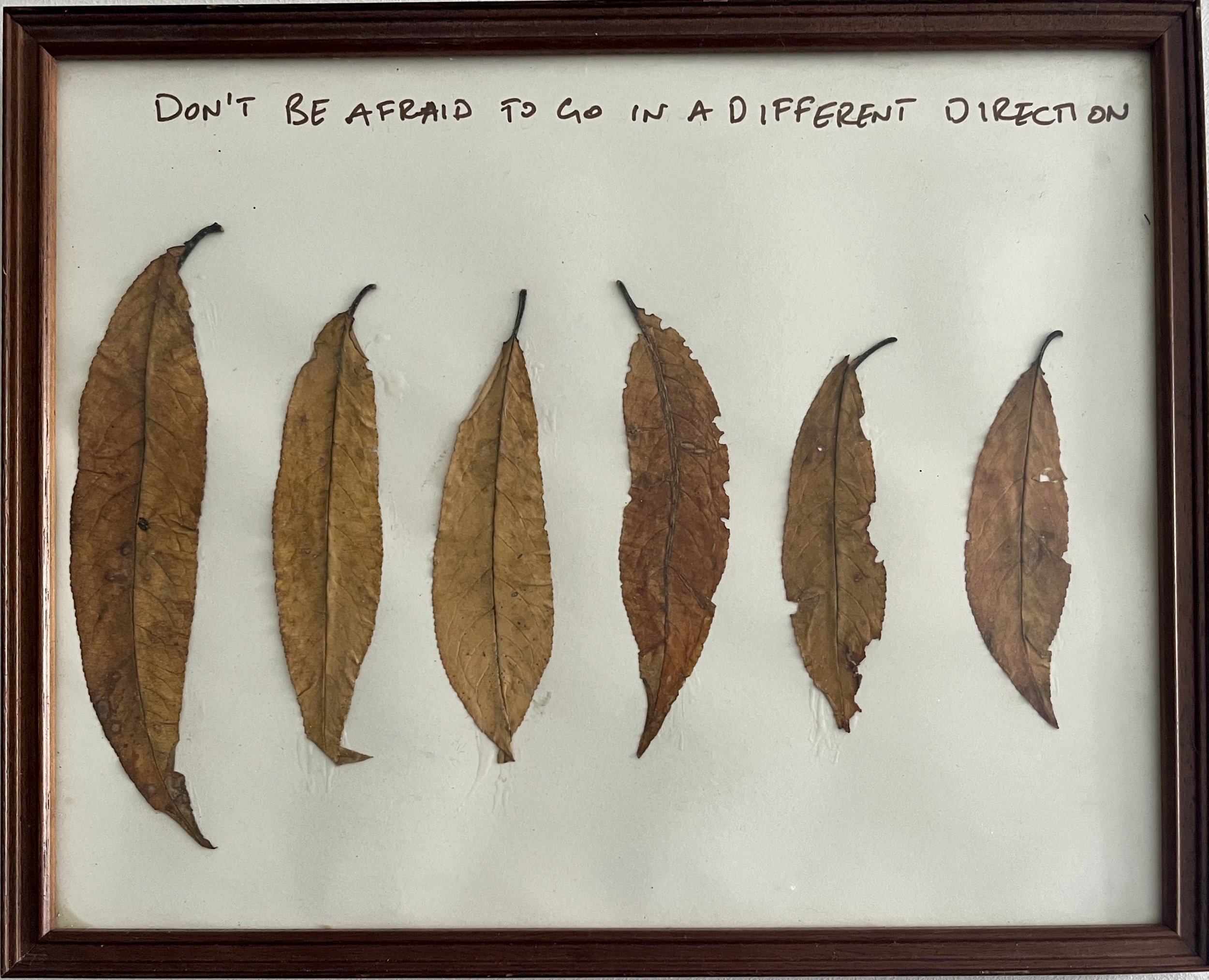 LIVING YOUR TRUTH