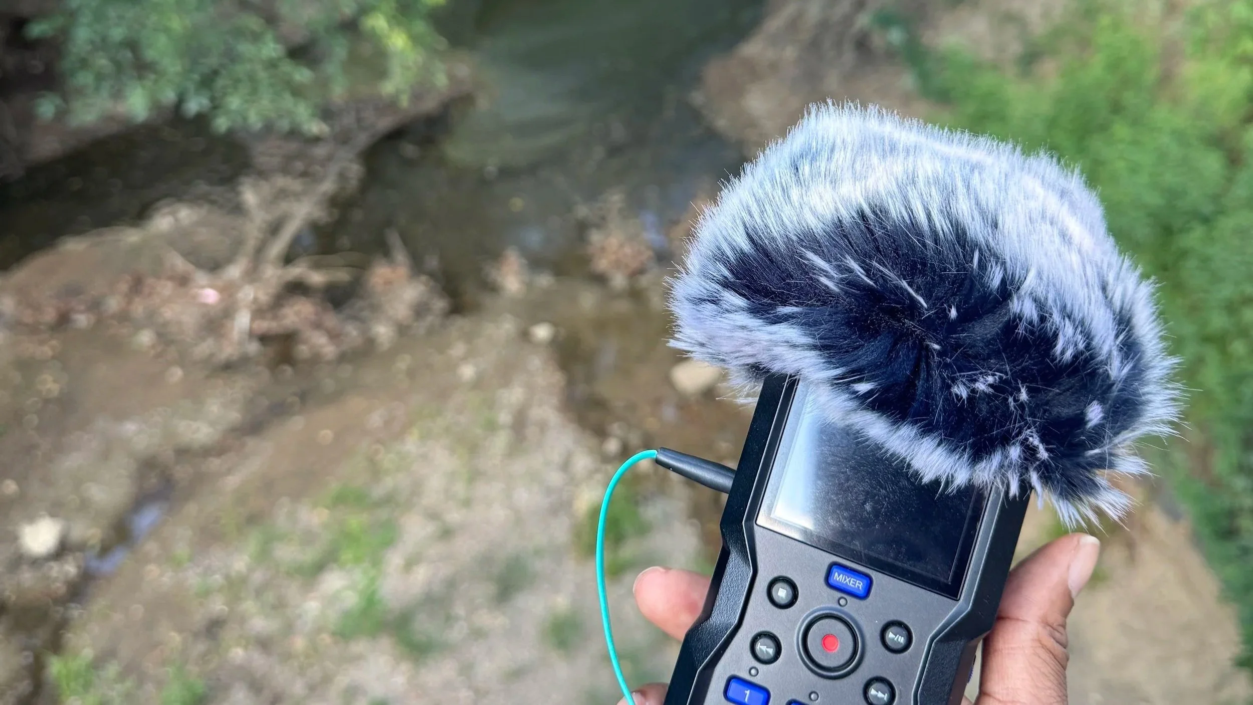 Listening to the Land
