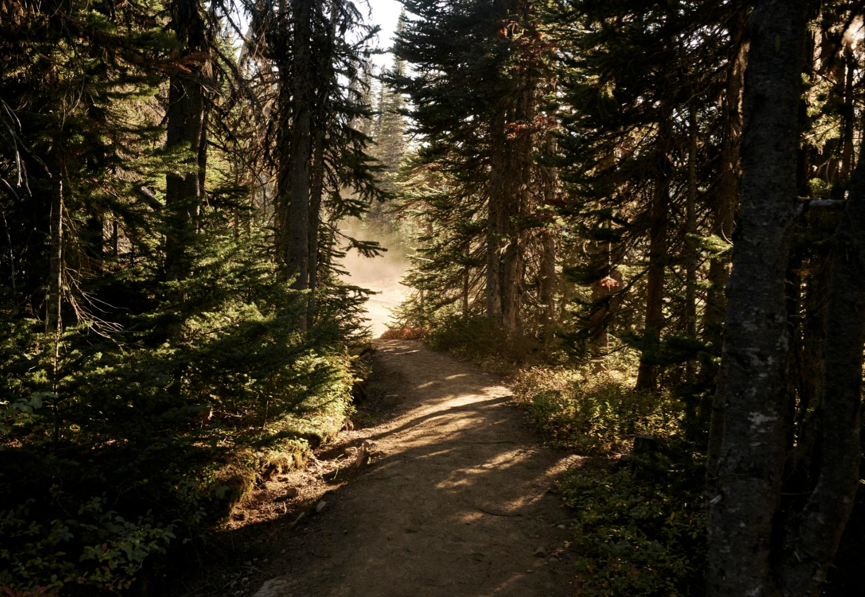 Screenshot 2026-01-12 at 8.34.33 PM.png