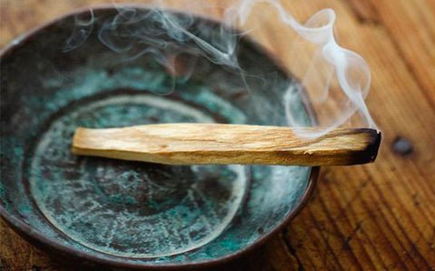Palo Santo Stick.jpeg