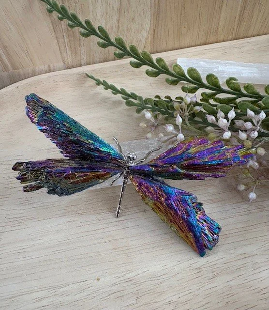 Dragonfly | Electroplated Hematite