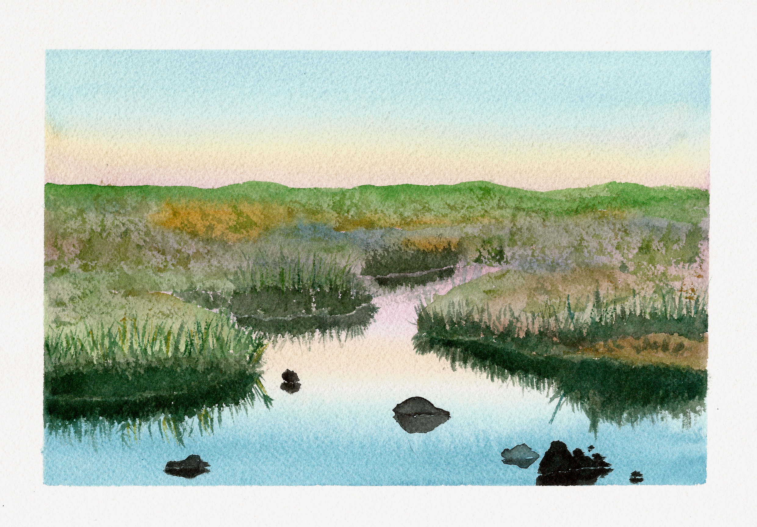Marsh Study. Watercolor on Arches 300gsm cold press paper. 7"x10" NFS.