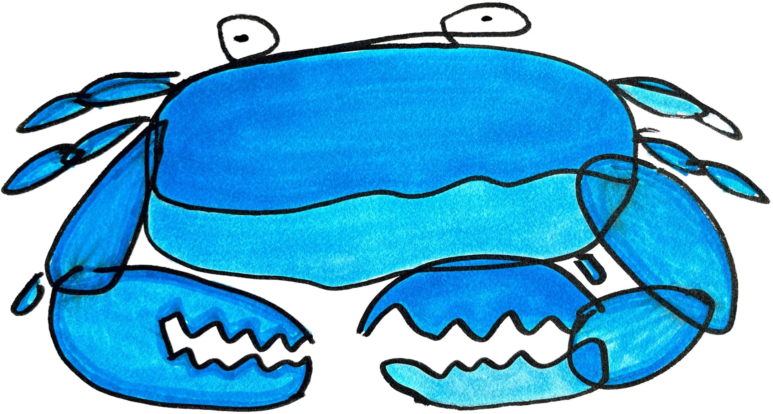 Blue Crab Isolated_.jpg
