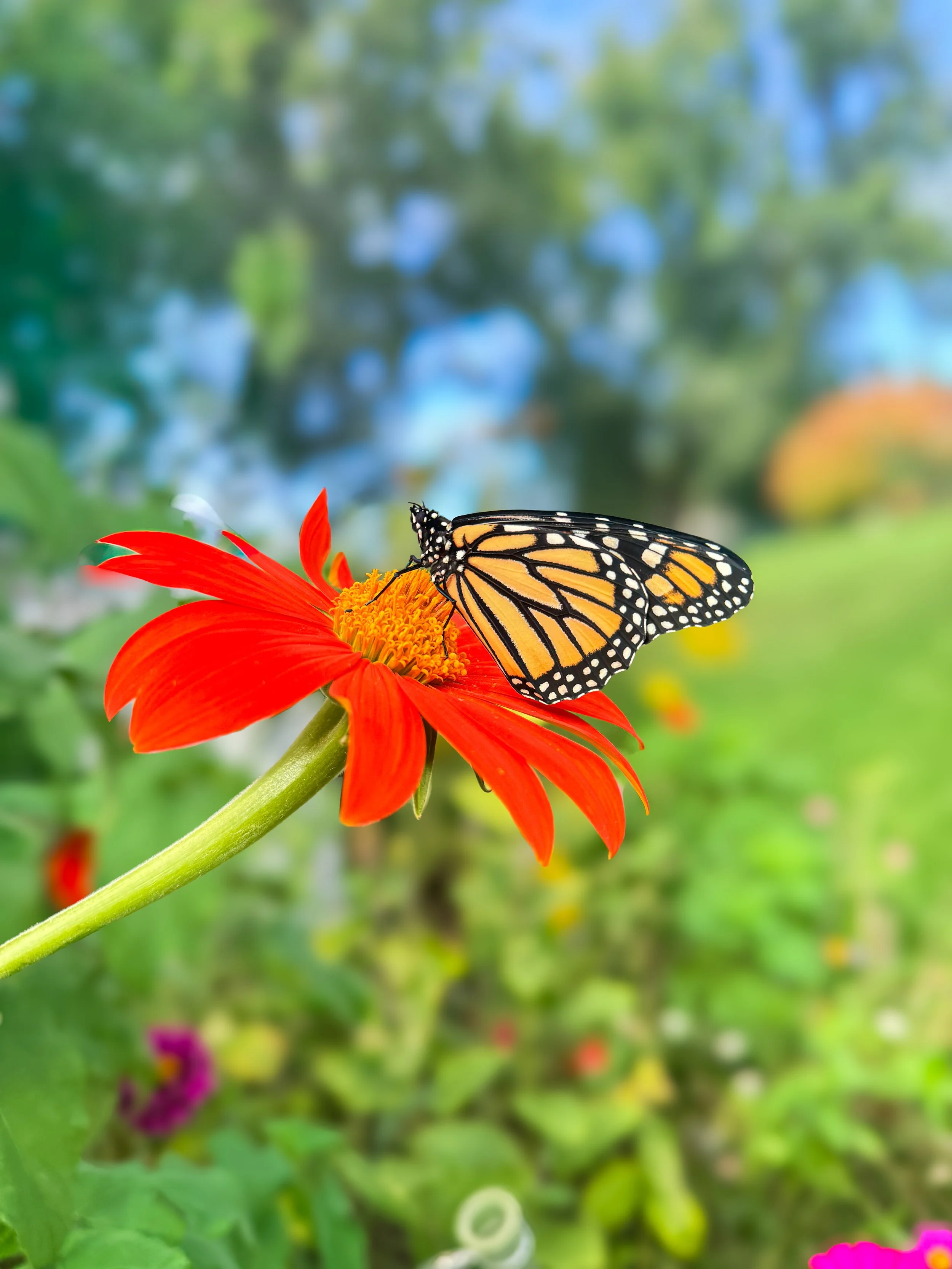 Beyond Hospice: Bringing Peace and Presence to the End of Life
