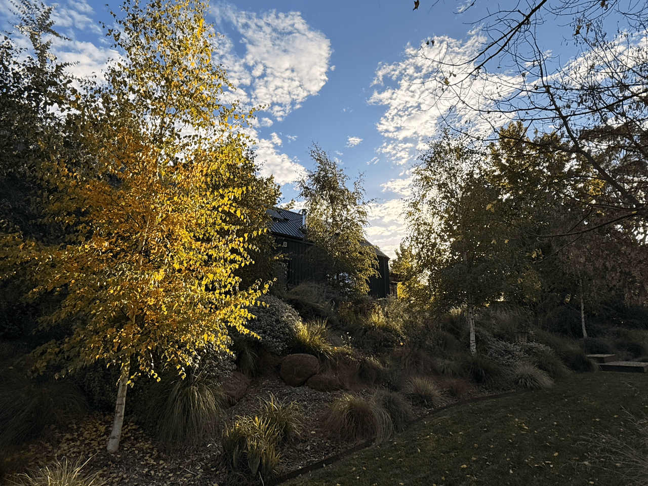A yard with trees showing fall foliage and a dark house on a hillside under a partly cloudy sky.