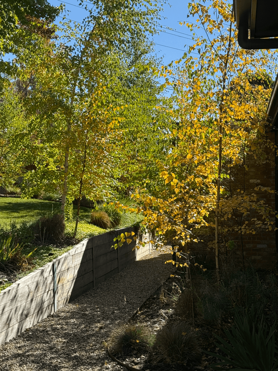 A garden pathway bordered by a wooden retaining wall with green and yellow trees and a brick wall on the right under a bright blue sky.