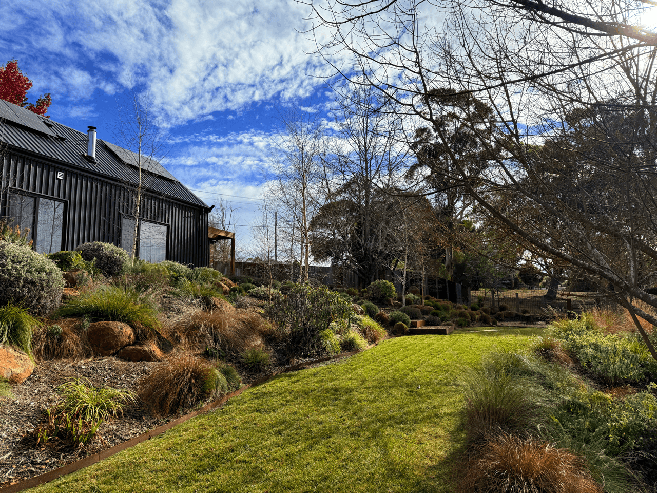 A backyard garden with a green lawn, various shrubs and plants, trees with bare branches, and a black metal house with a metal roof under a blue sky with clouds.