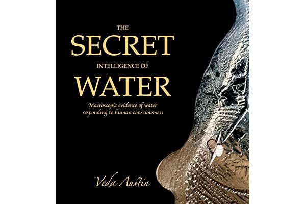 The Secret Intelligence of Water by Veda Austin