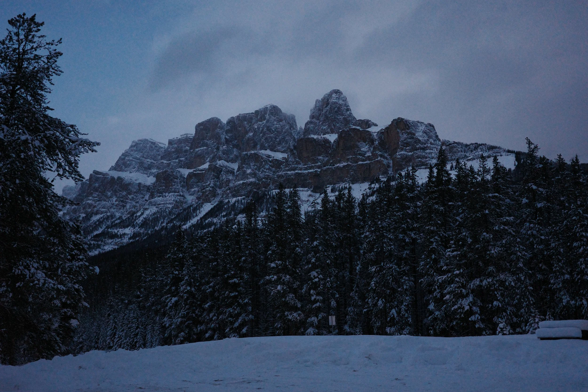 Snow-covered mountains with a forest of evergreen trees in the foreground, under a cloudy sky.