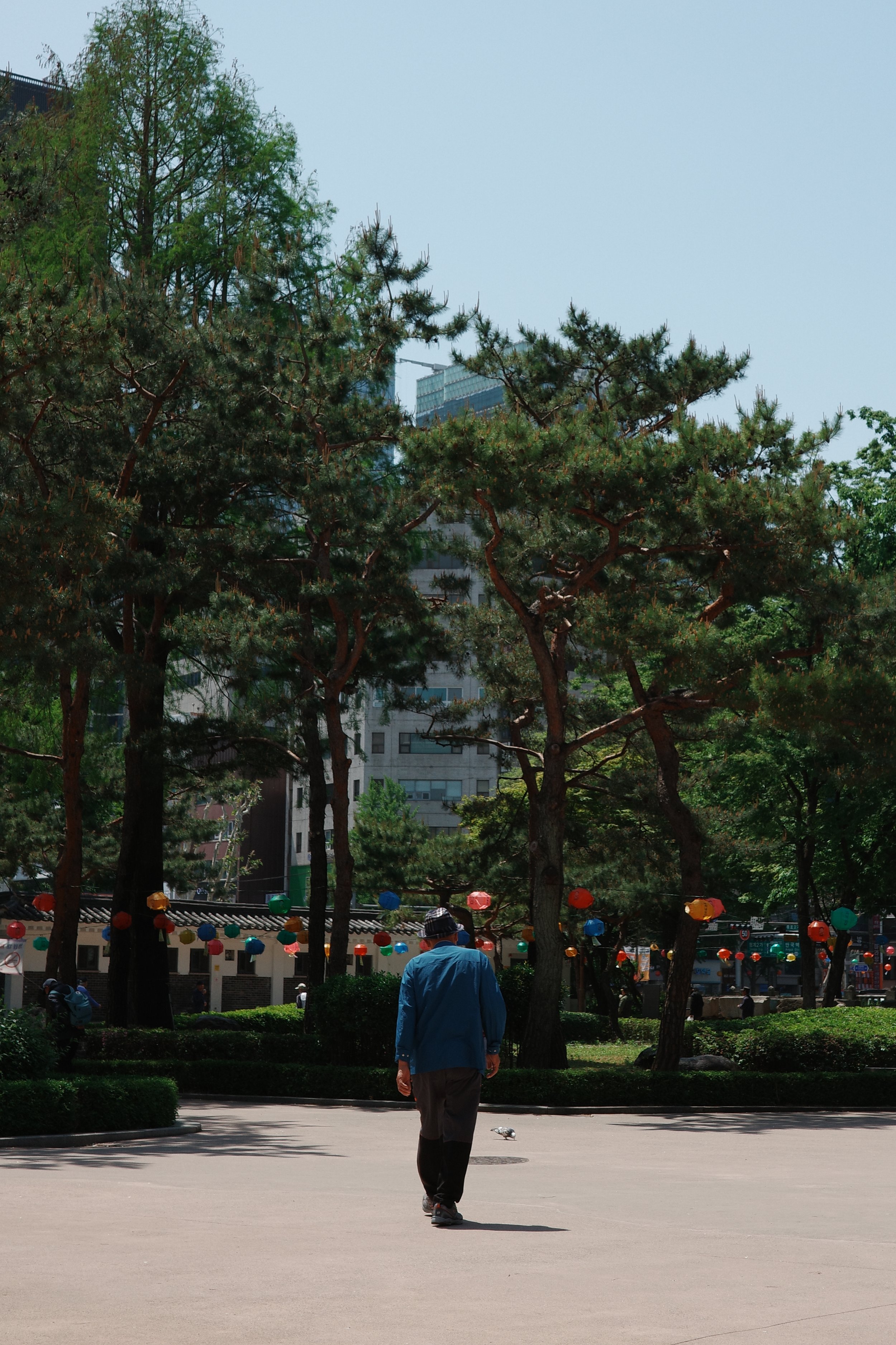 R0001164.jpg