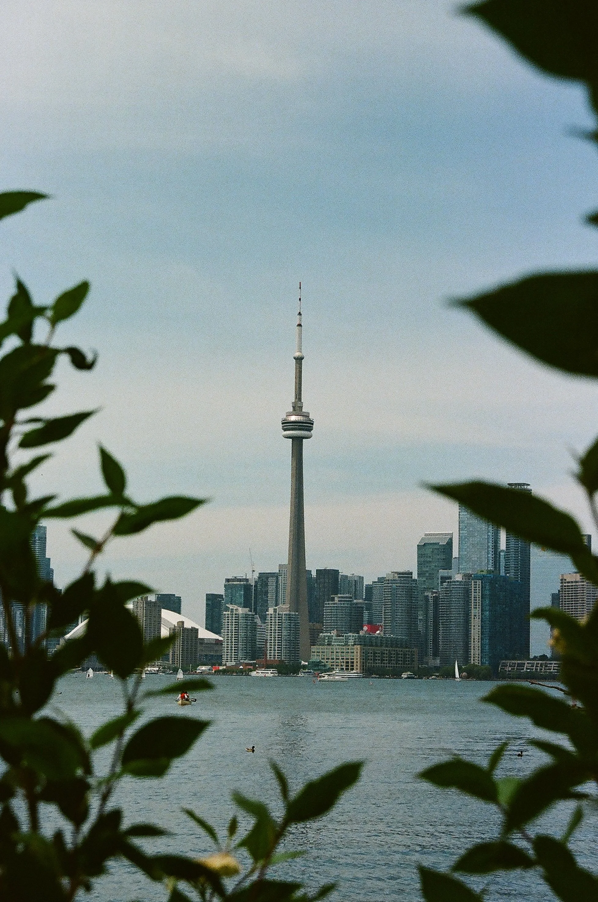 toronto