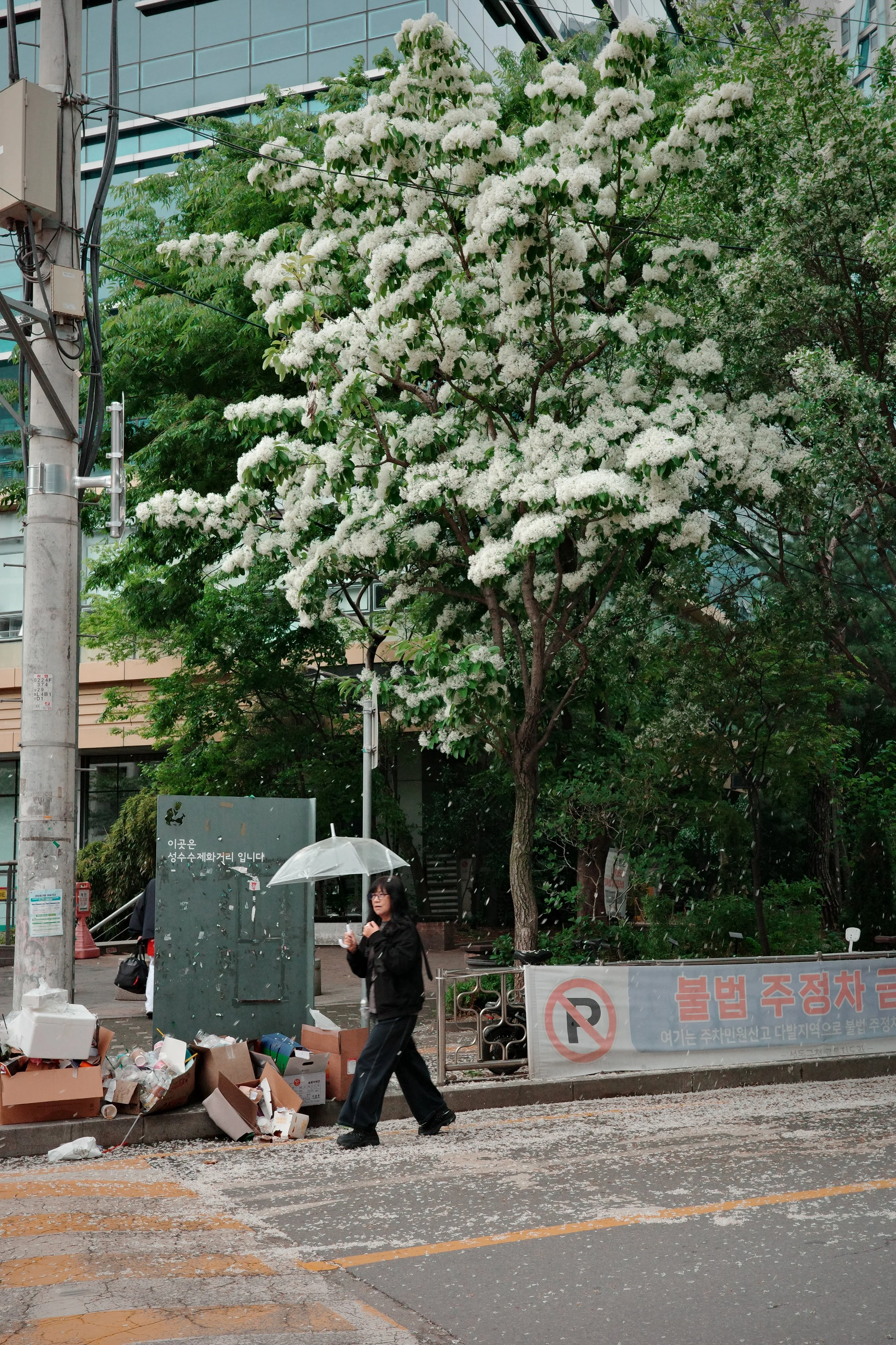 R0001267.jpg