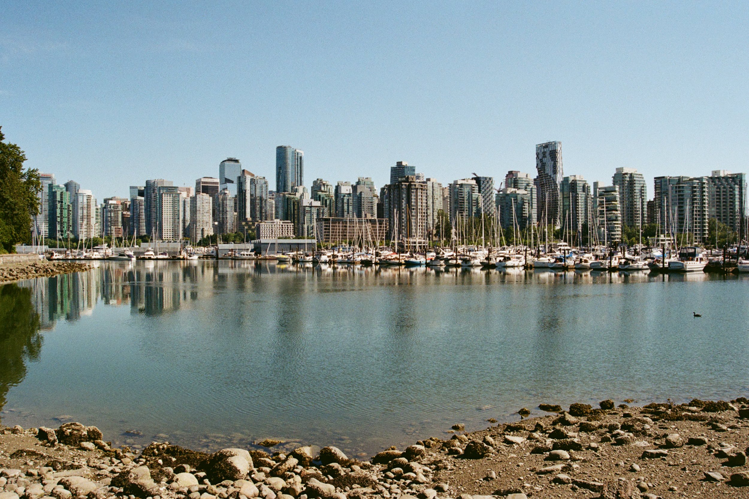 City skyline with tall buildings, boats docked at marina, and a calm body of water in the foreground, under a clear blue sky.