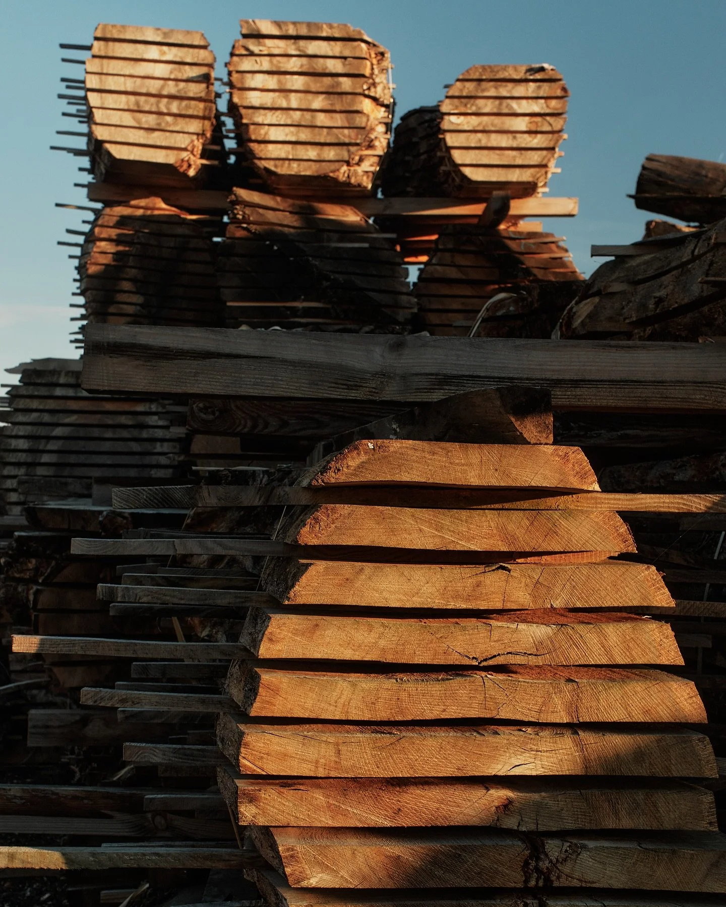 Stocked up on sustainably sourced British timber 👌

#british #sustainable #lovenature