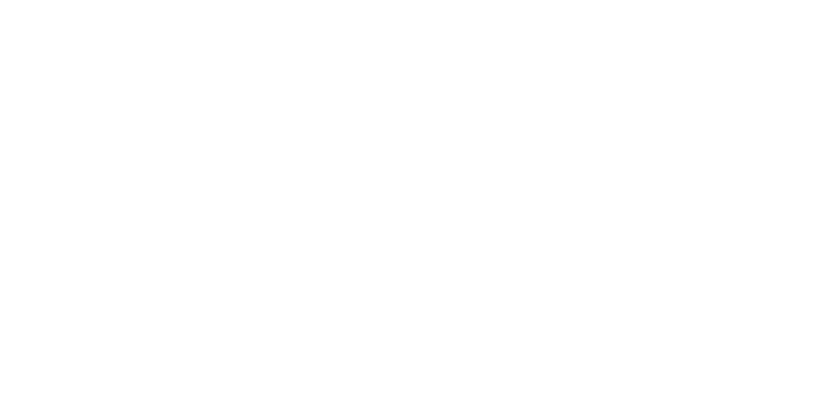 RiverRock Consulting