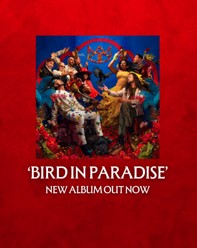 The Cat Empire - Bird in Paradise