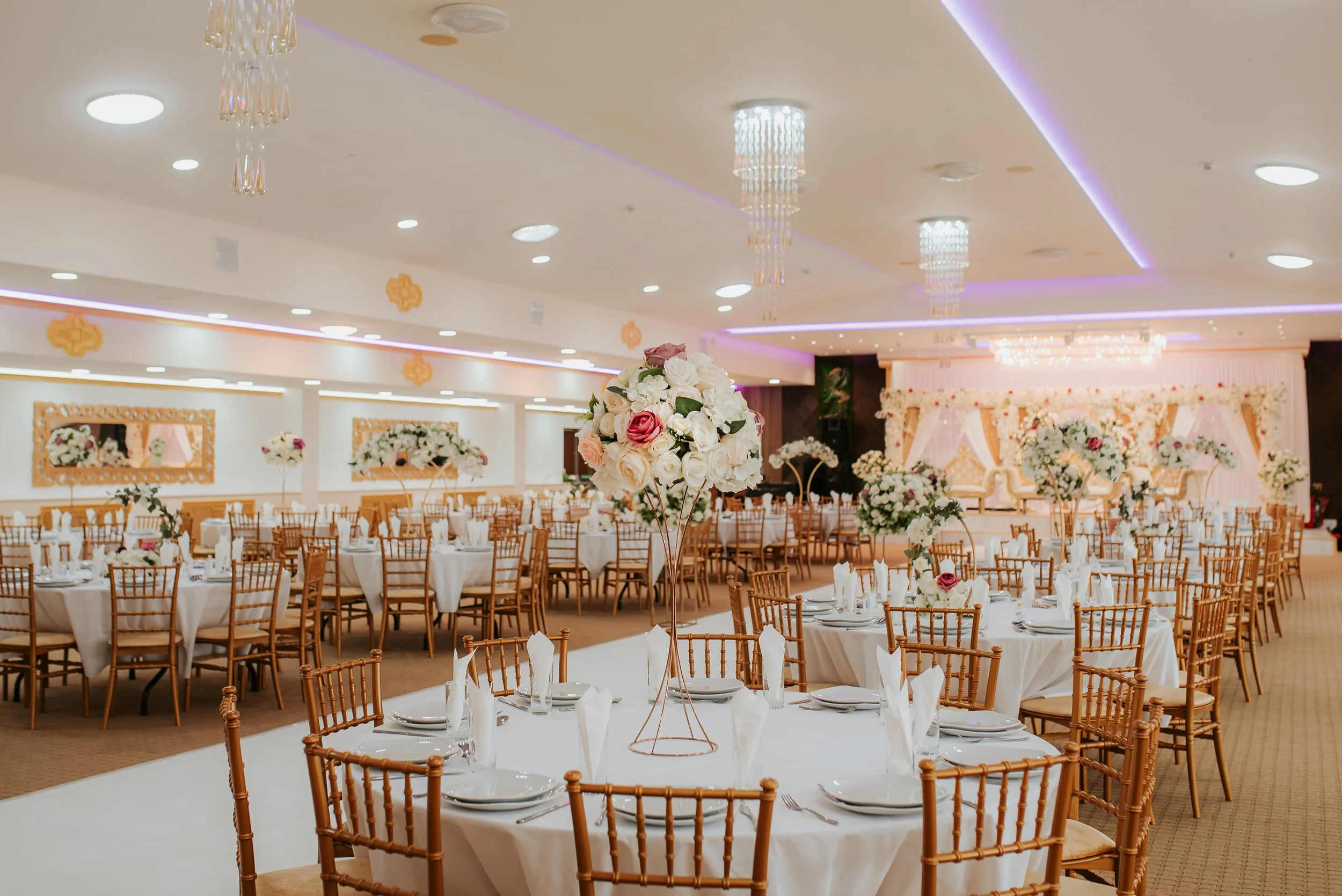 Wedding-478.jpg