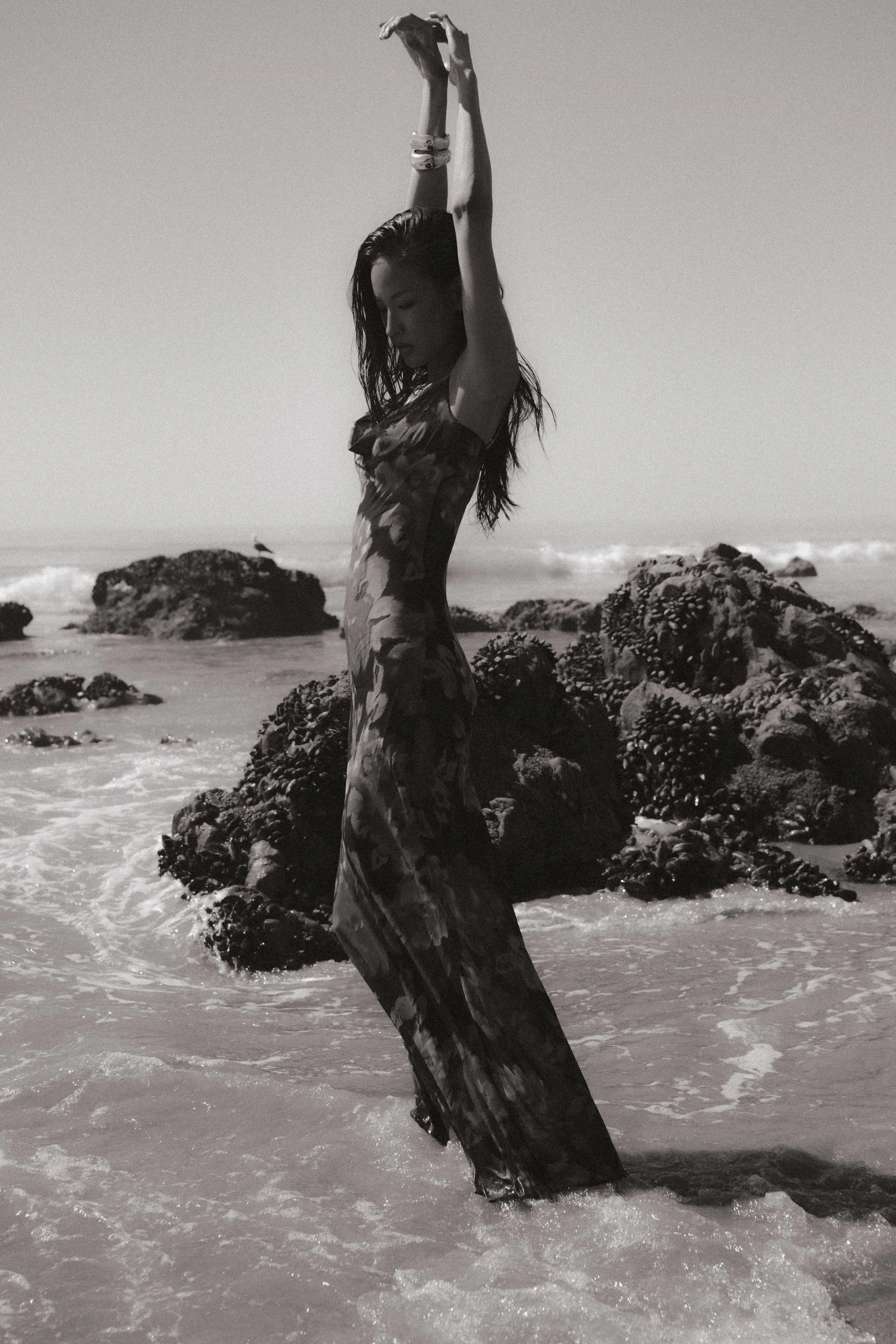 Shot by Zaphrier Dan