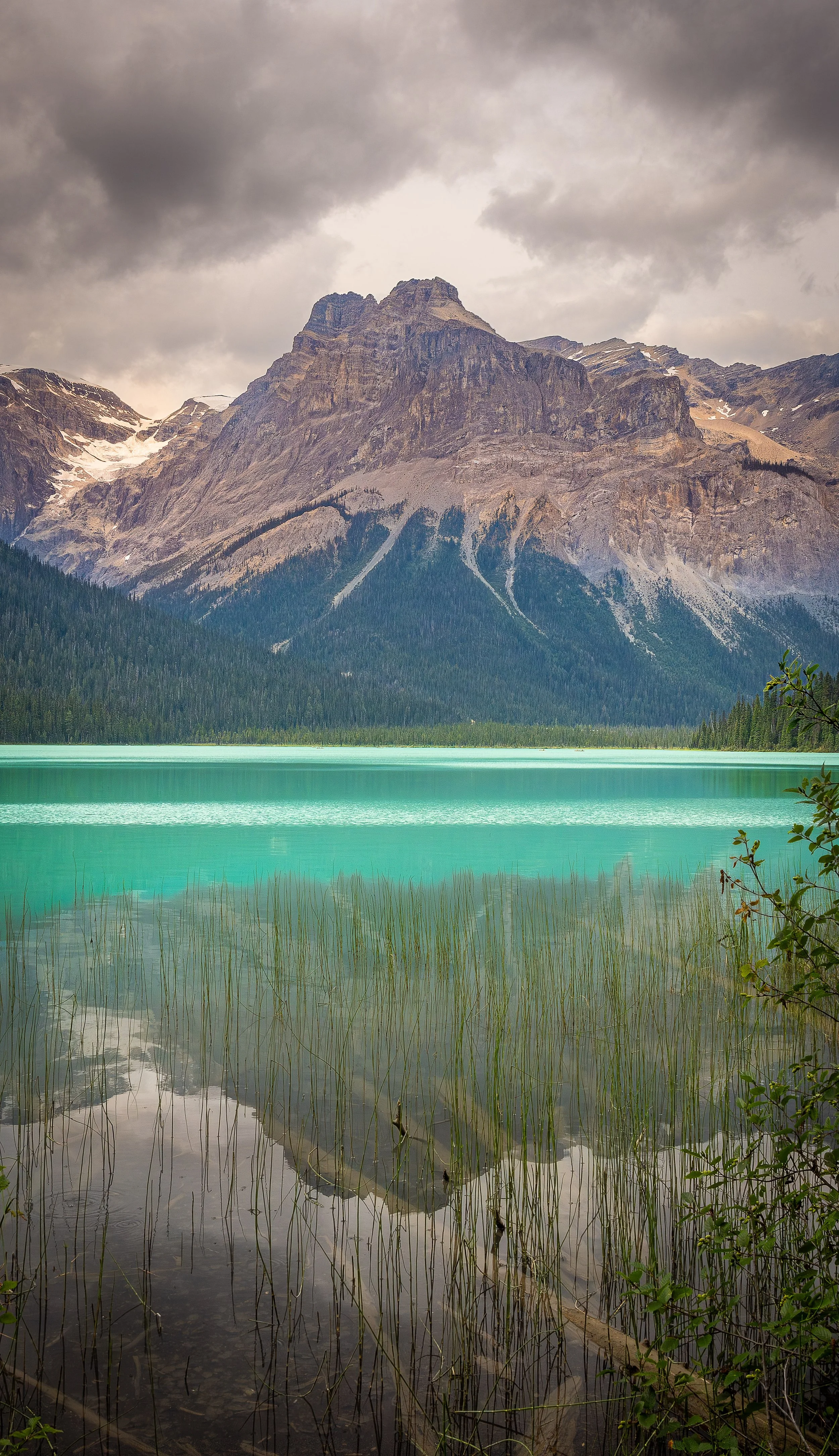 Timber and Turquoise.jpg