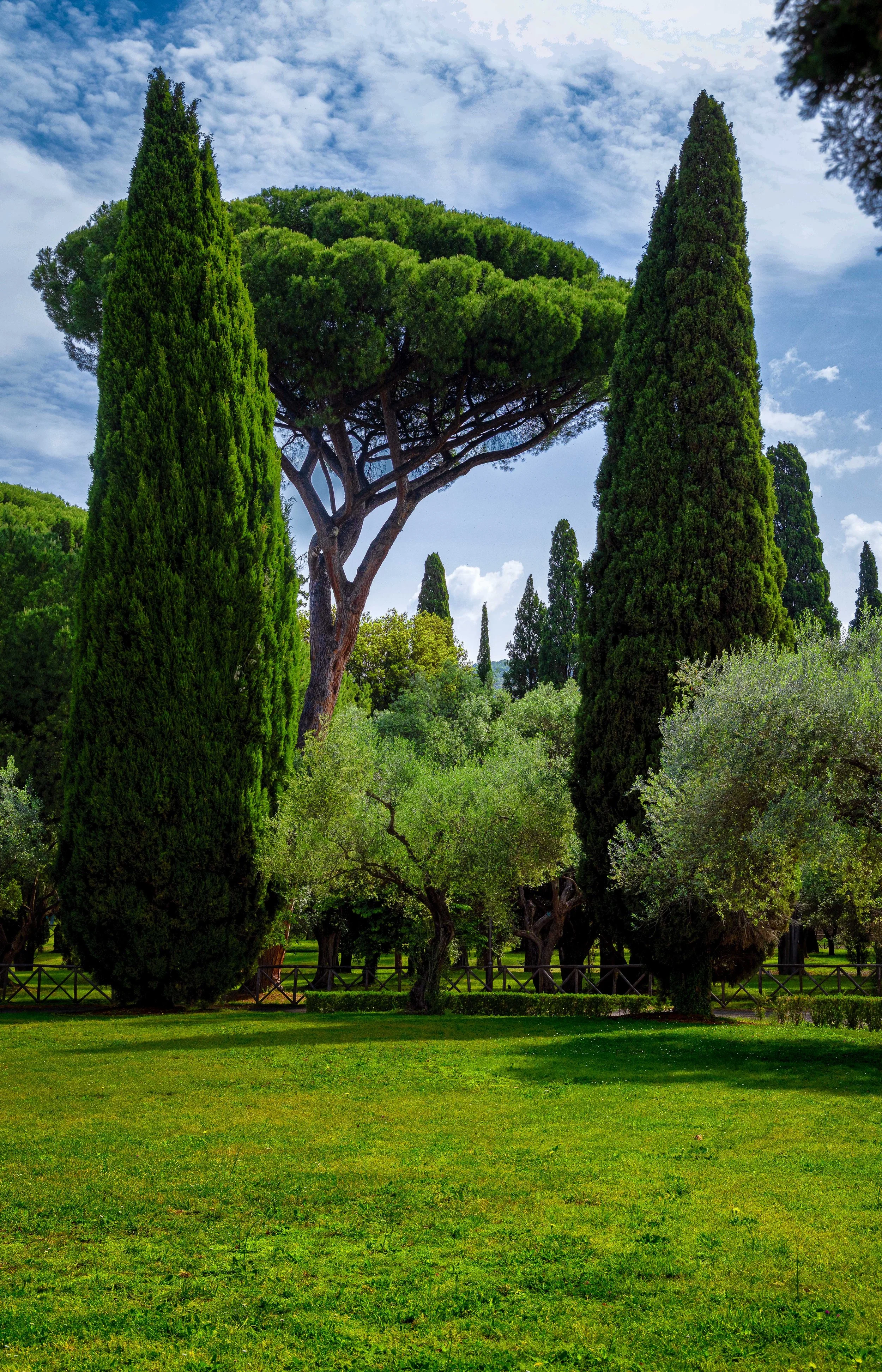 The Roman Grove.jpg