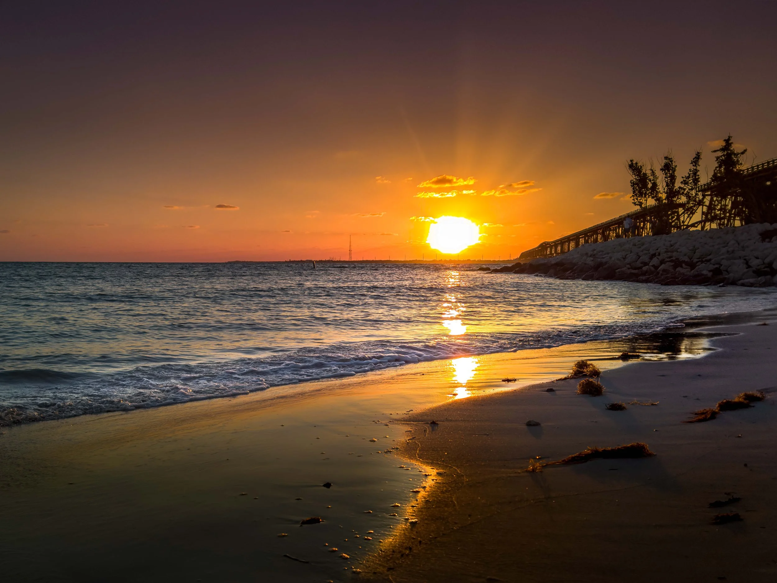 The Solar Shore.jpg