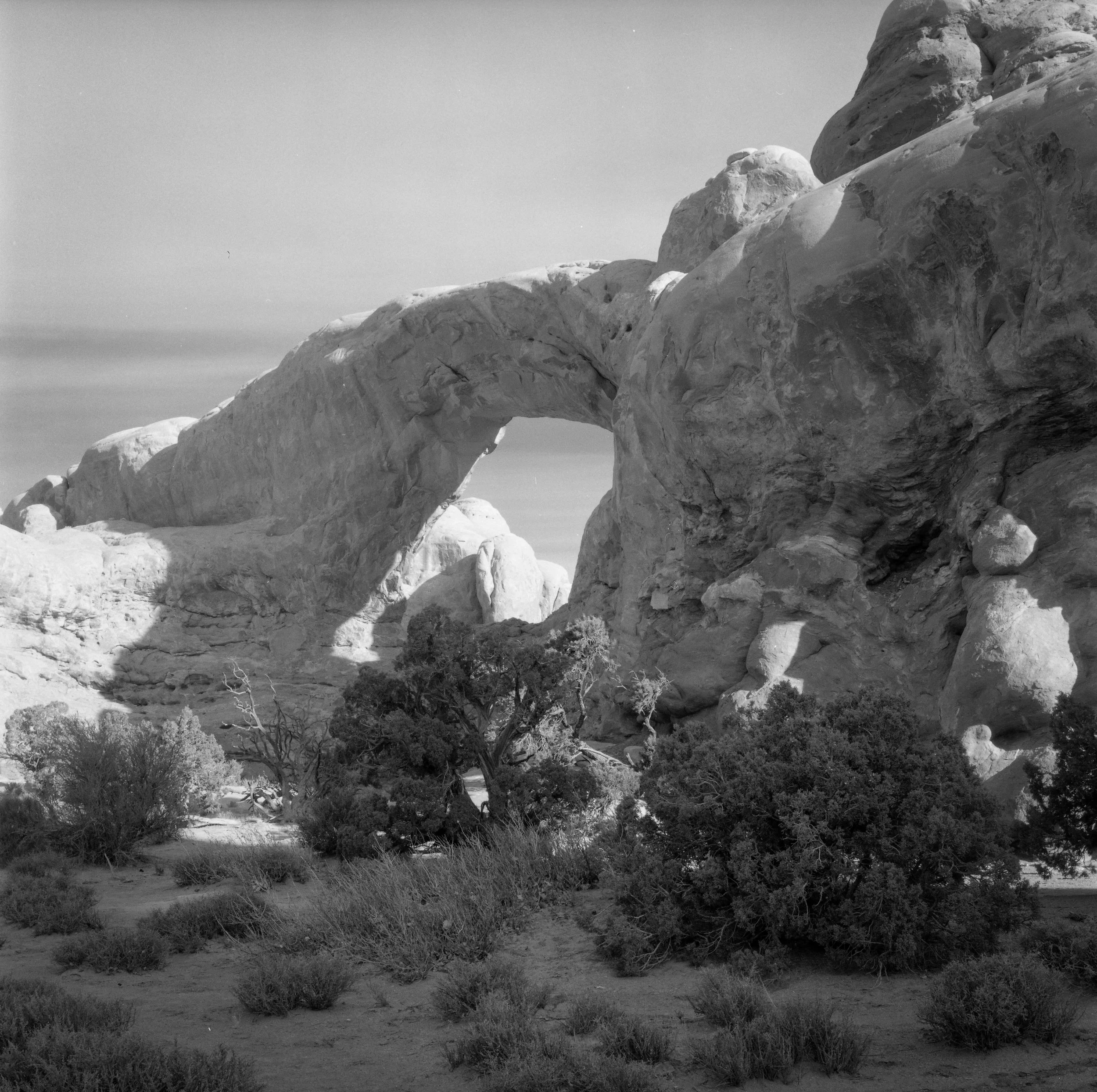 Desert Portal.jpg