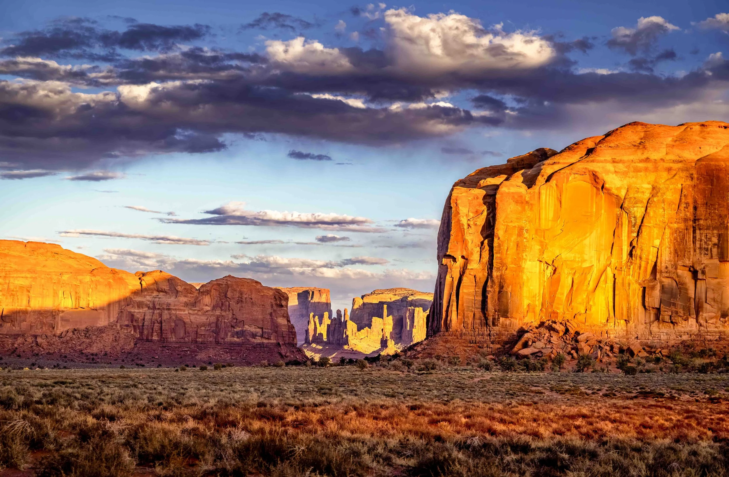 Sentinels of the Desert.jpg