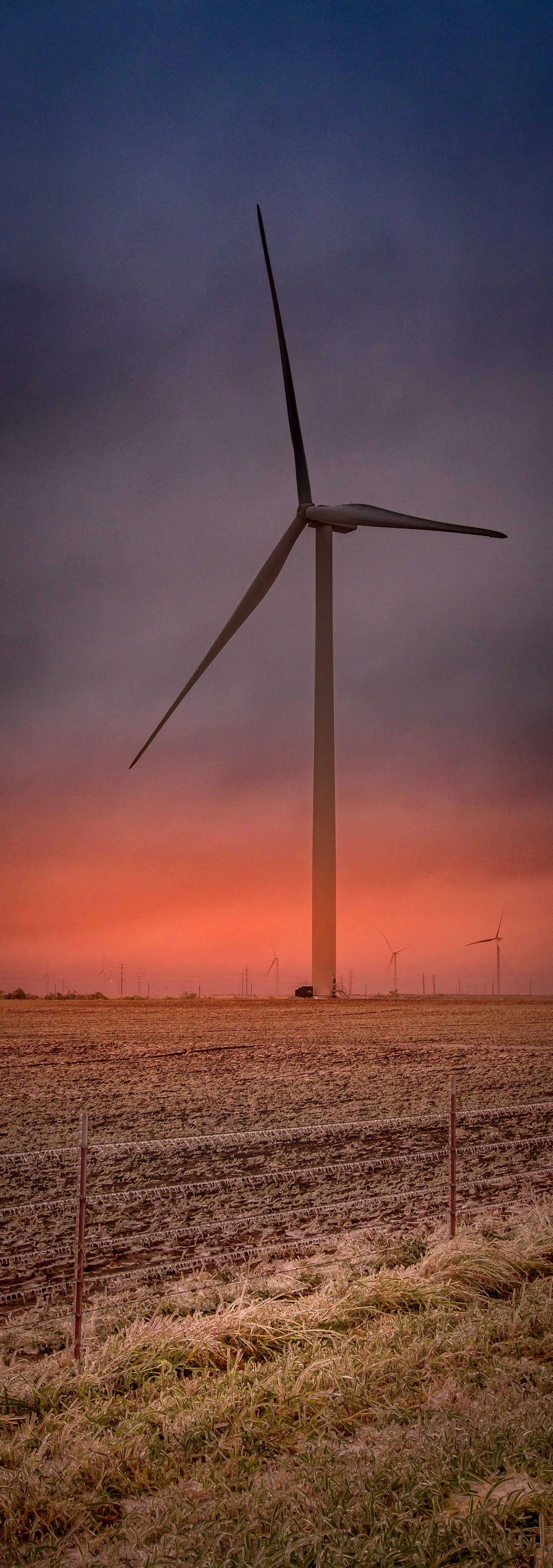 Harvesting the Wind - III.jpg