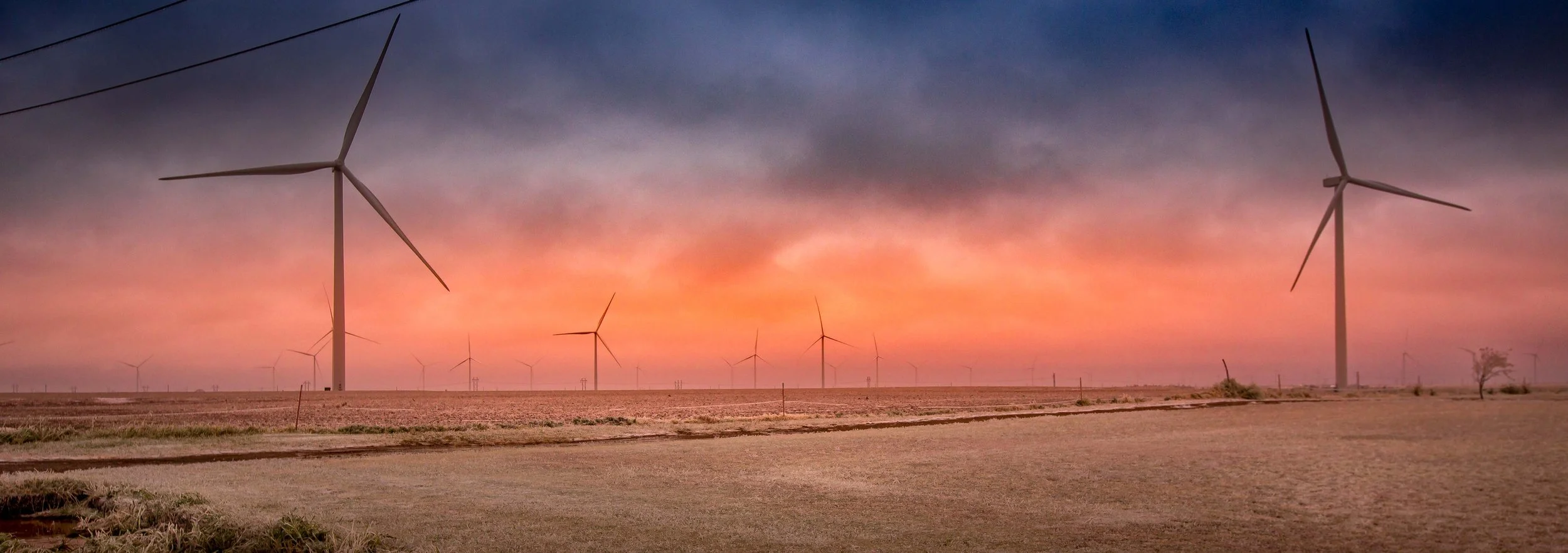 Harvesting the Wind - II.jpg