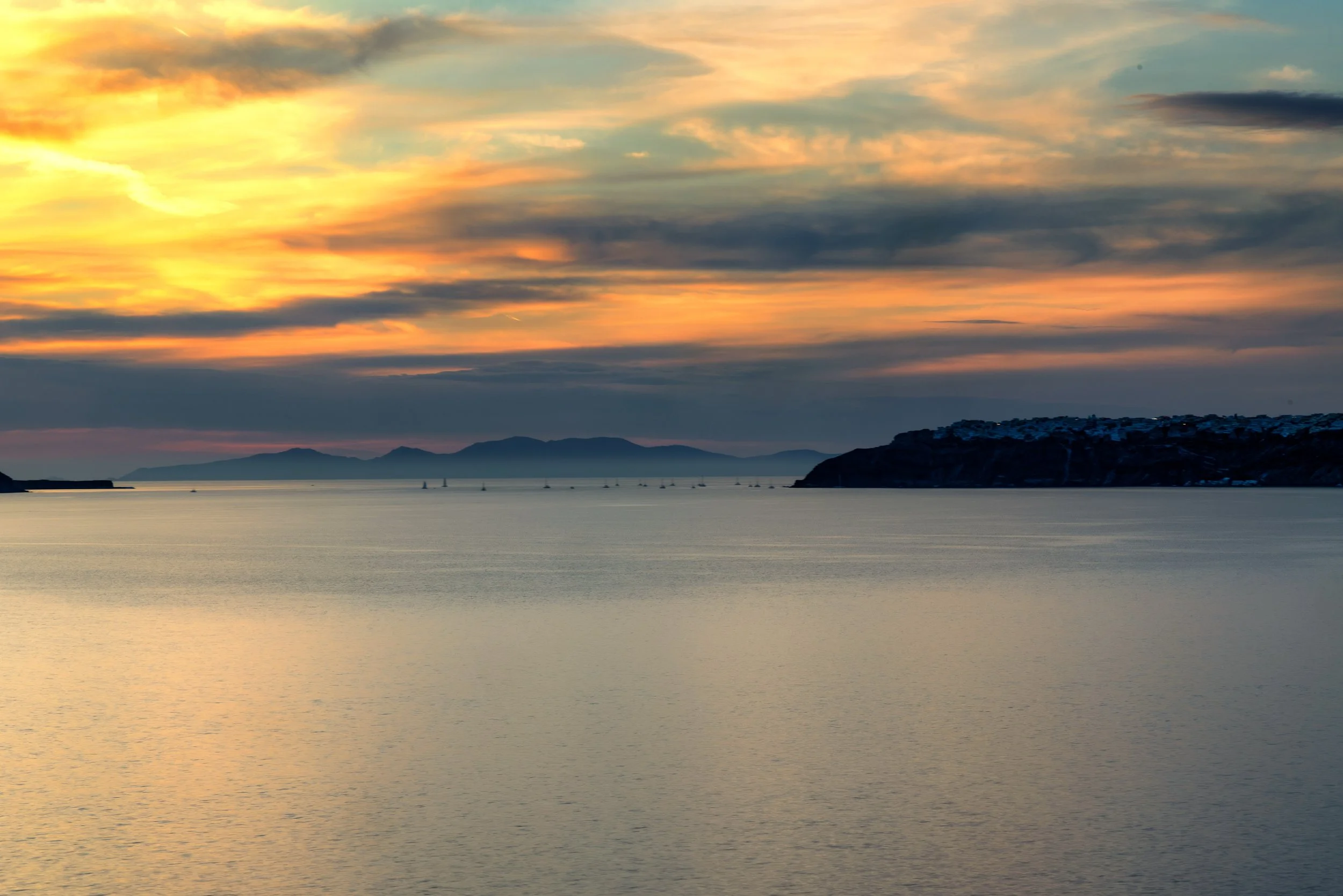 Silhouetted Shores.jpg
