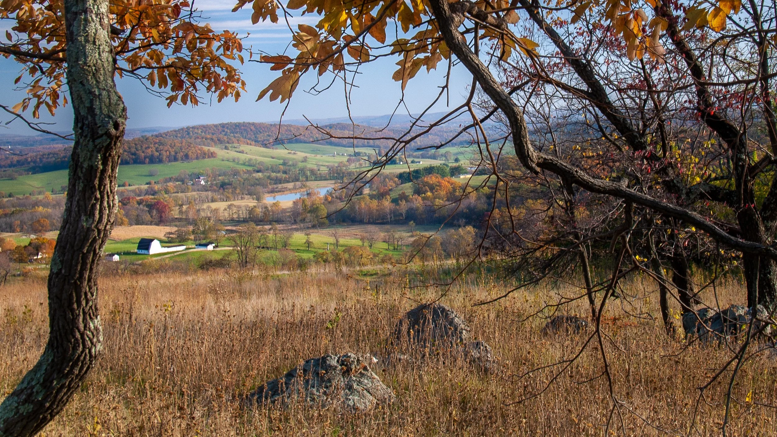 Autumn Overlook.jpg