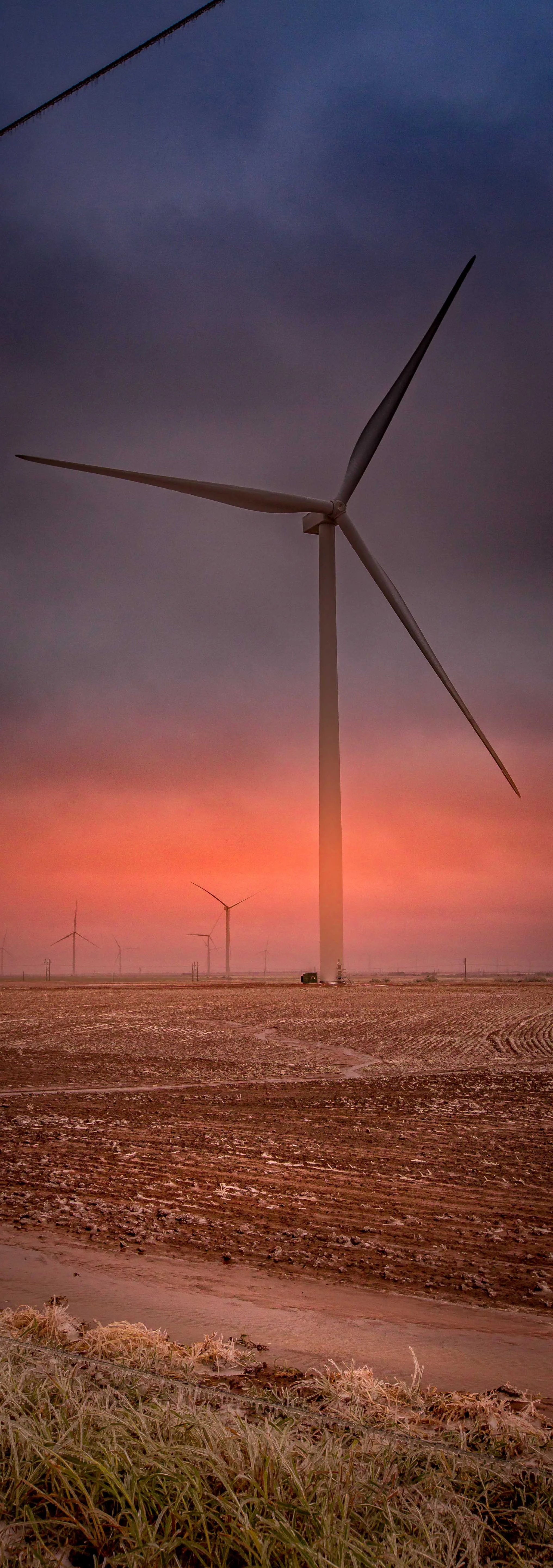 Harvesting the Wind - I.jpg