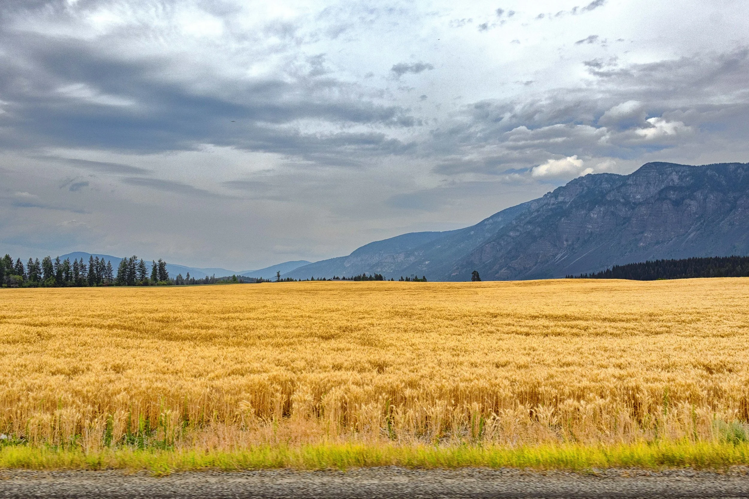 Harvest Mood II.jpg
