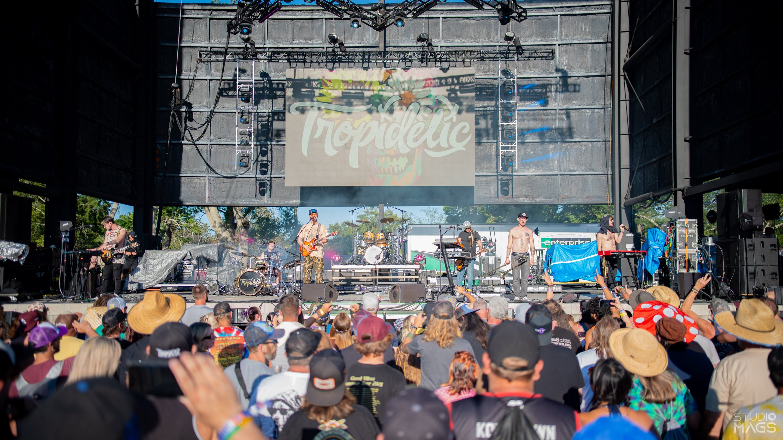 Tropidelic-1.jpg